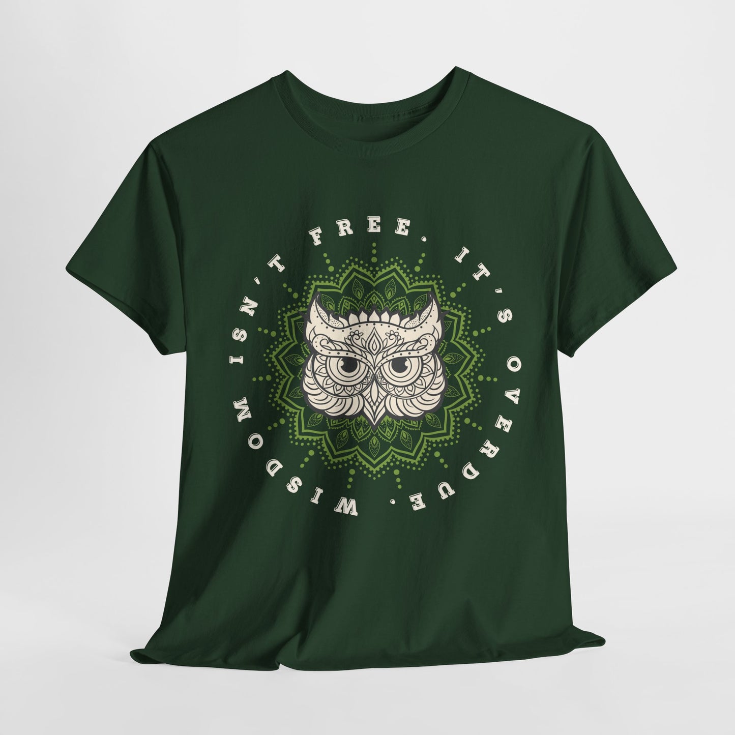 Teen/Adult Unisex – Wisdom Isn’t Free Tee – Overdue Owl Library Shirt