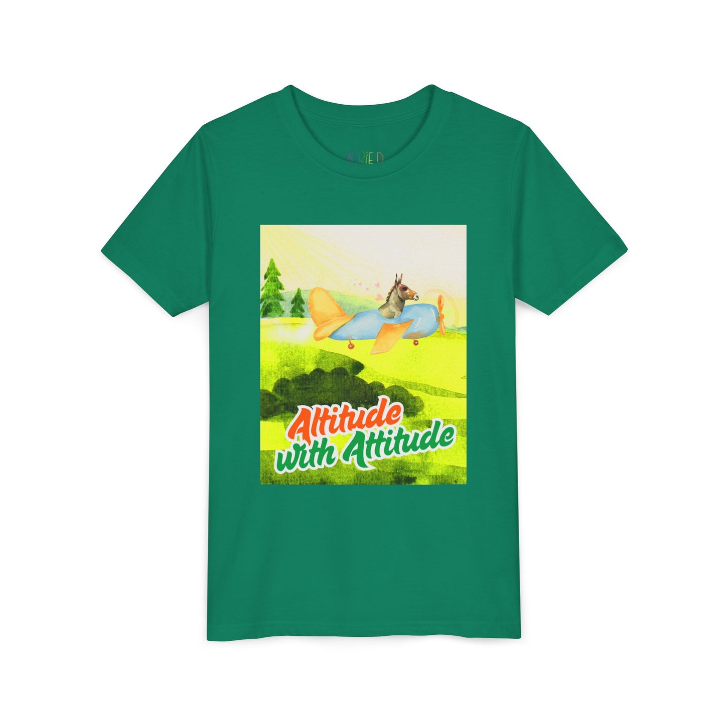 Youth Altitude with Attitude – Soaring Sass Tee