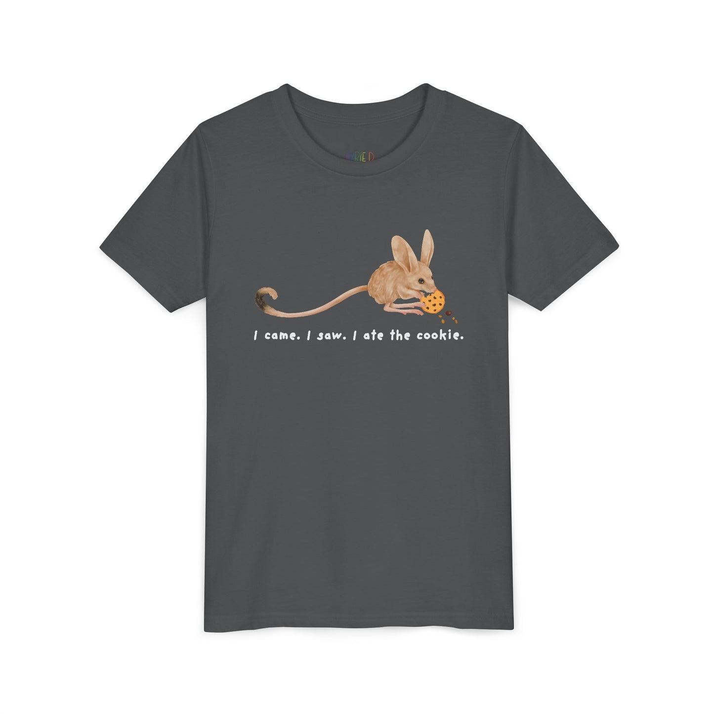 Youth I Came. I Saw. I Ate the Cookie. Tee – Zero Regrets, Full Belly