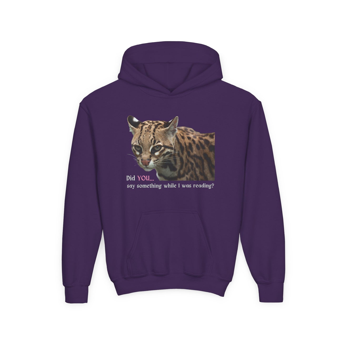 Youth Reading Hoodie – Did YOU Say Something While I Was Reading?