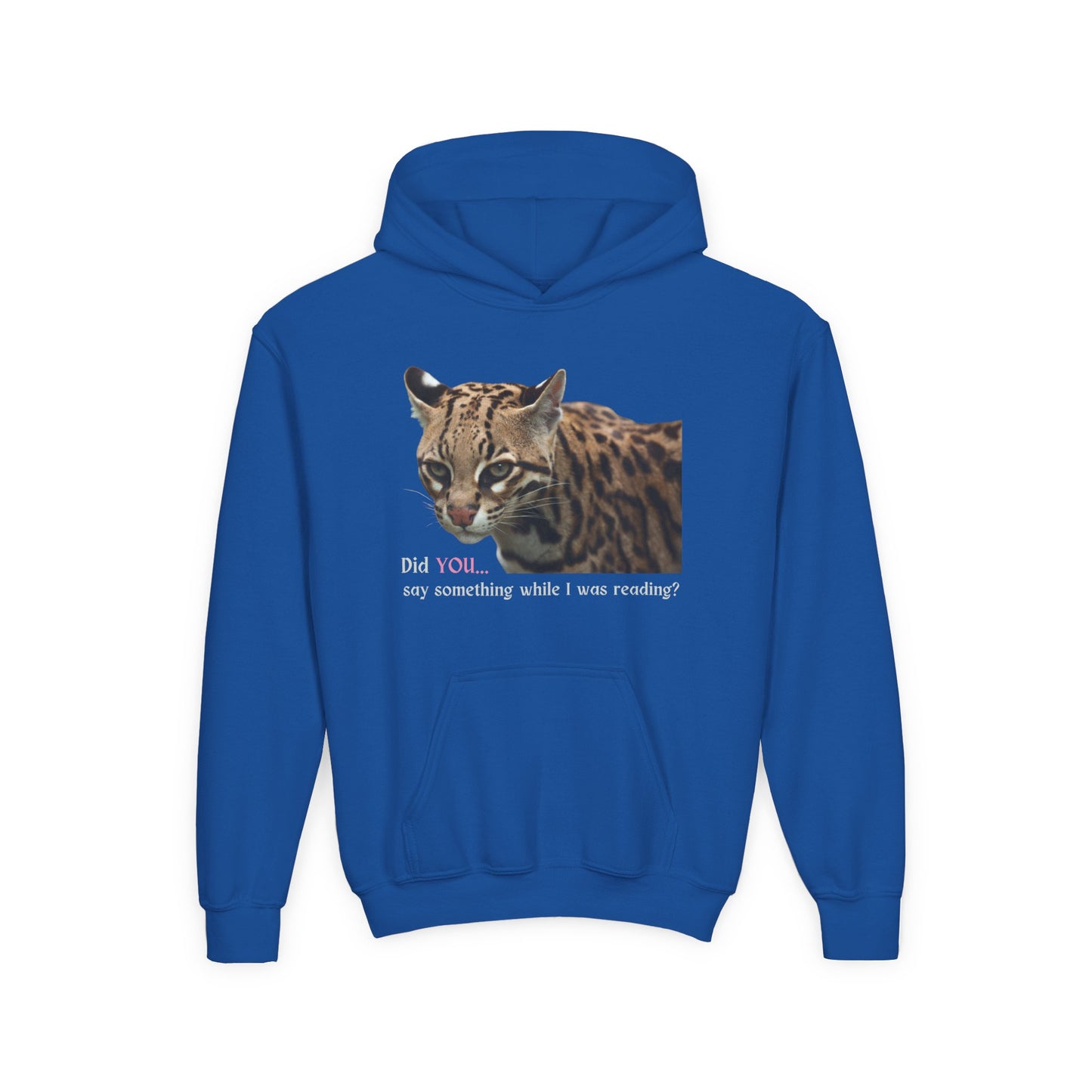 Youth Reading Hoodie – Did YOU Say Something While I Was Reading?