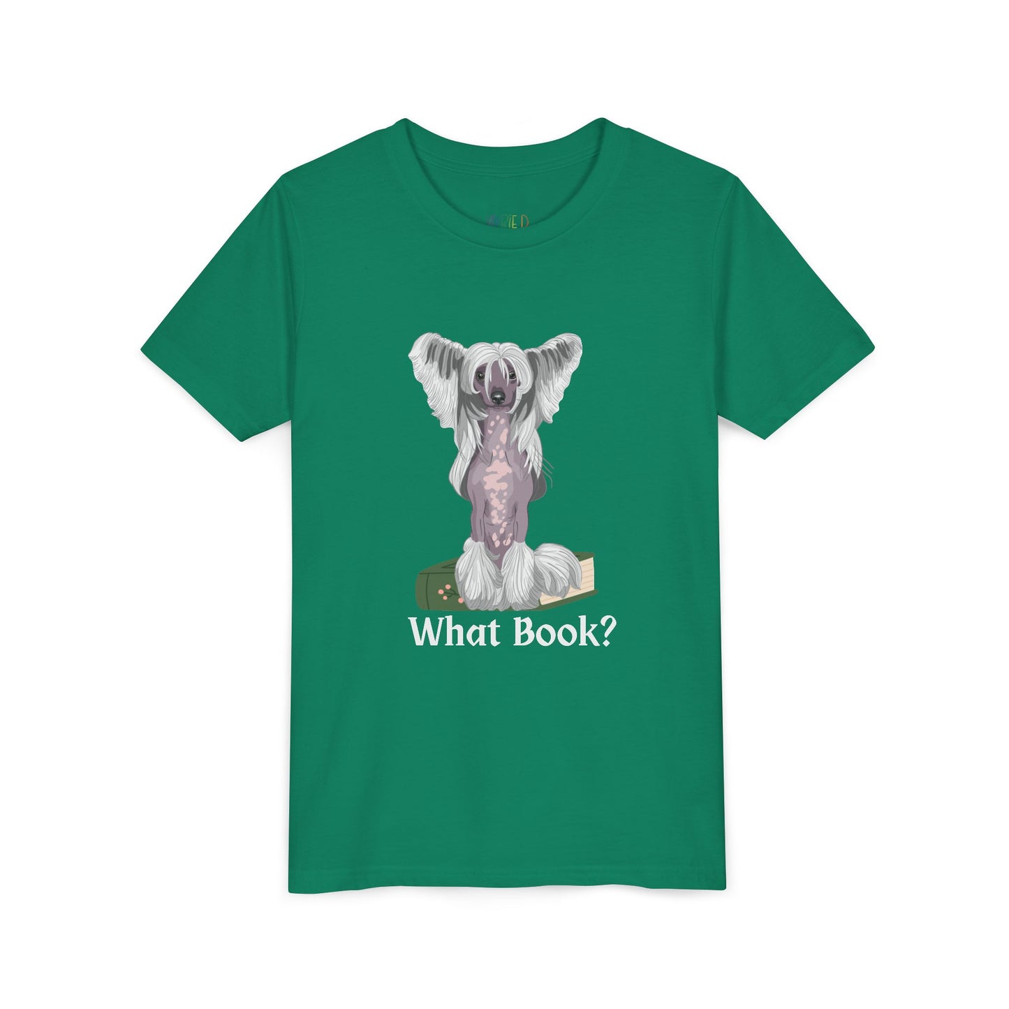 Youth What Book? T-Shirt – For the Sneaky Reader or Class Clown