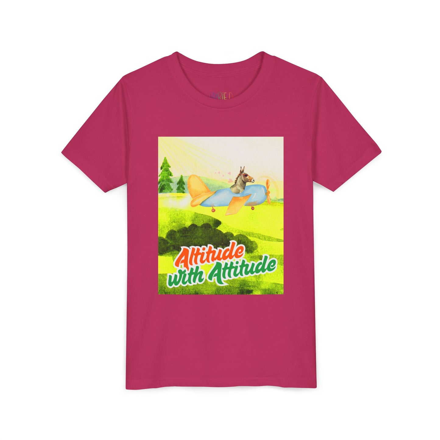 Youth Altitude with Attitude – Soaring Sass Tee