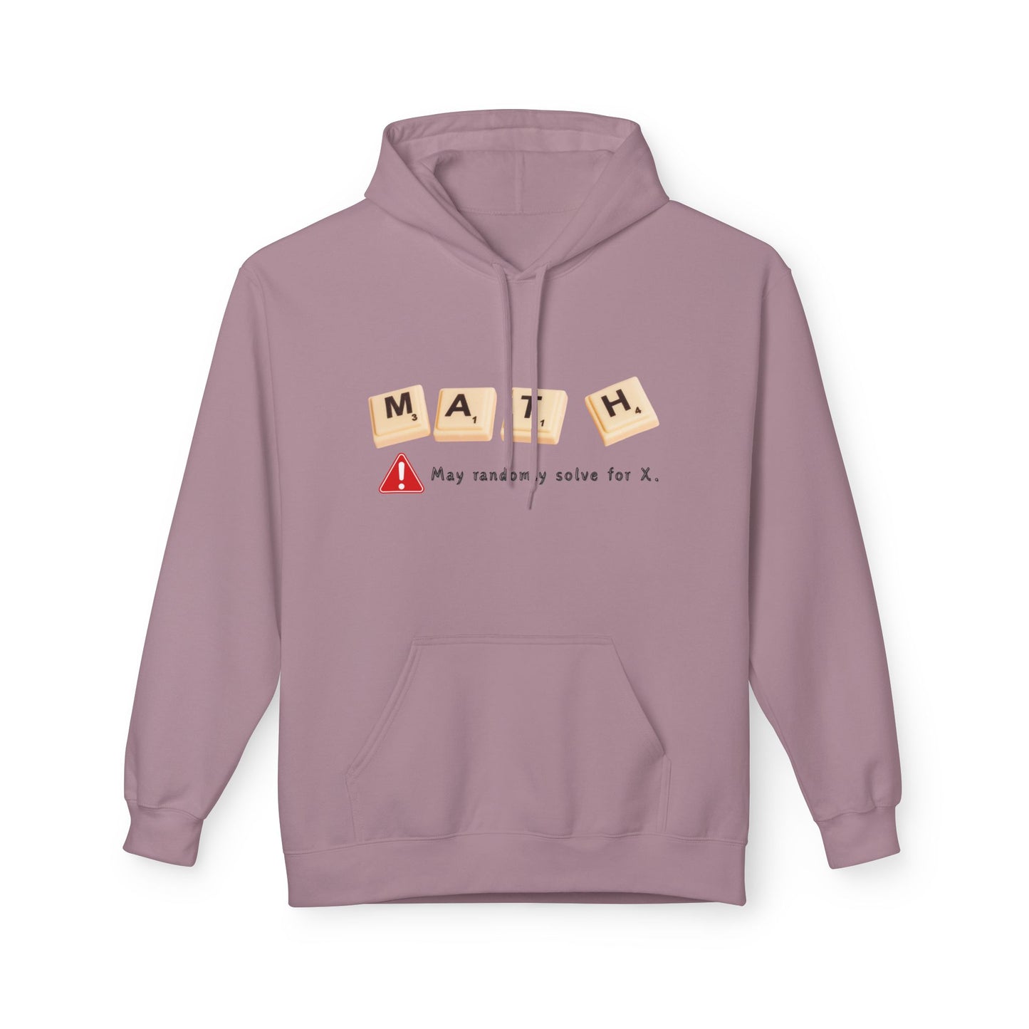 Teen/Adult Unisex Math Hoodie – Funny Equation Lover Design