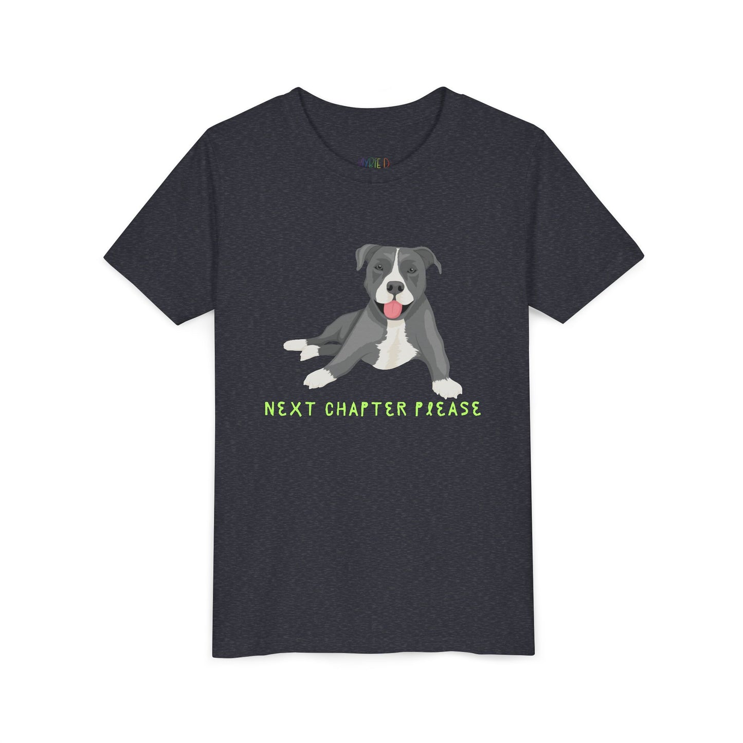 Youth Next Chapter Please T-Shirt – For Kids Who Just Can’t Stop Reading