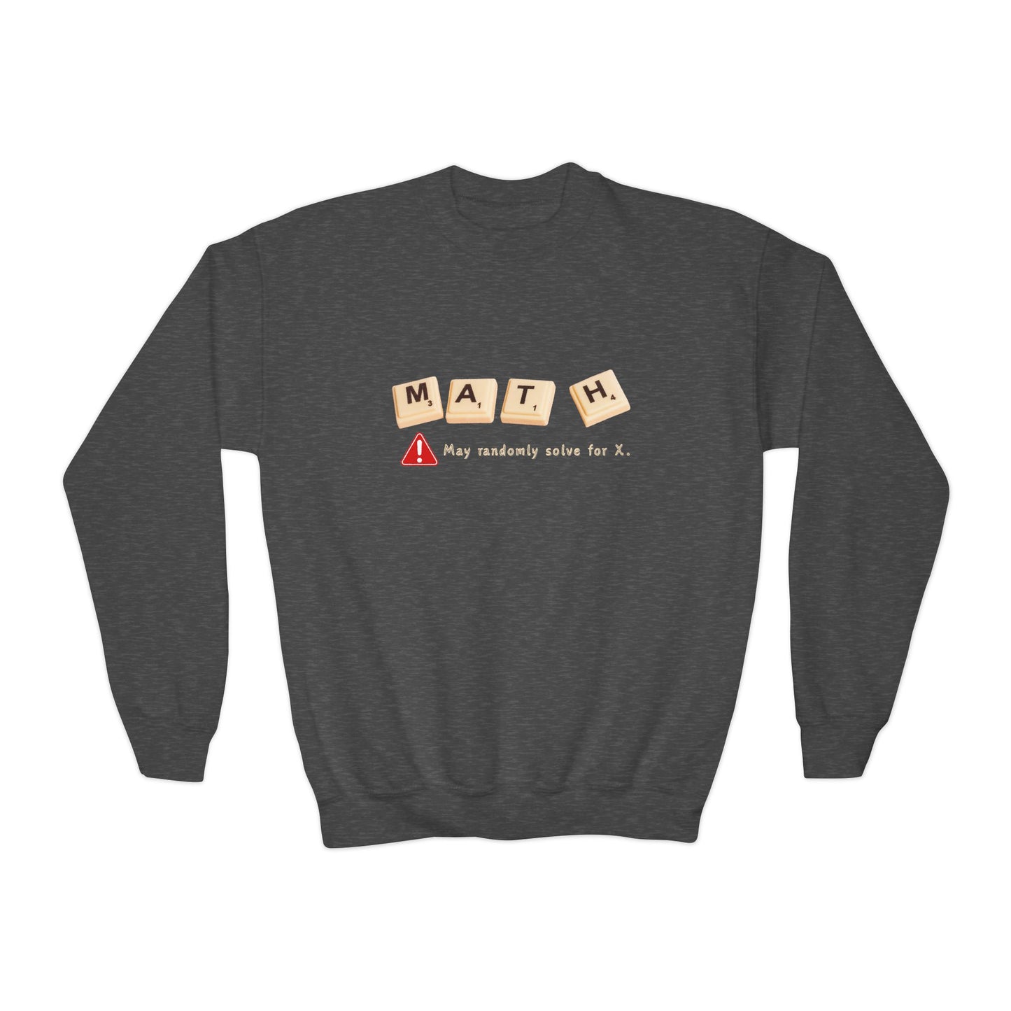 Youth Math Warning Sweatshirt – May Randomly Solve for X!