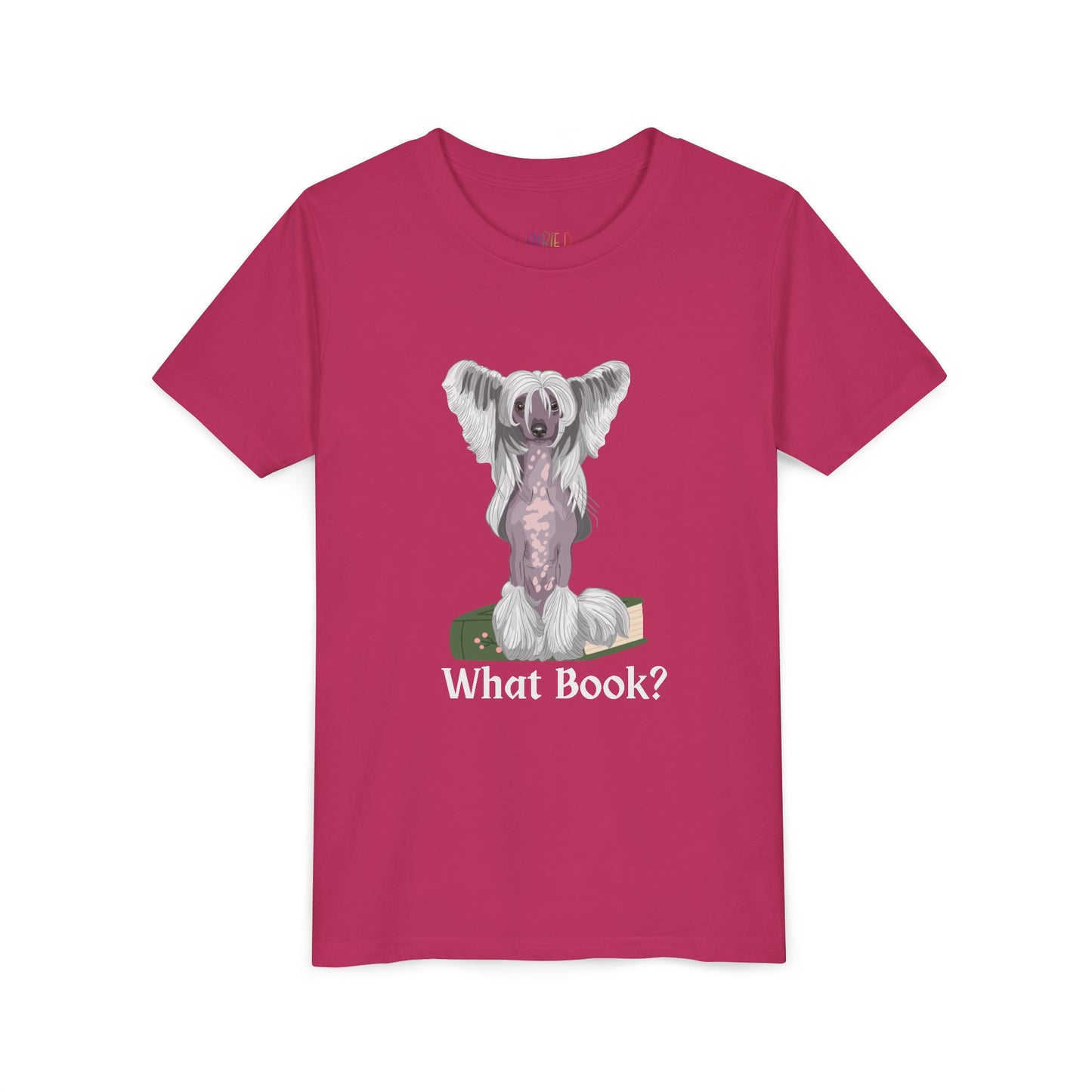 Youth What Book? T-Shirt – For the Sneaky Reader or Class Clown