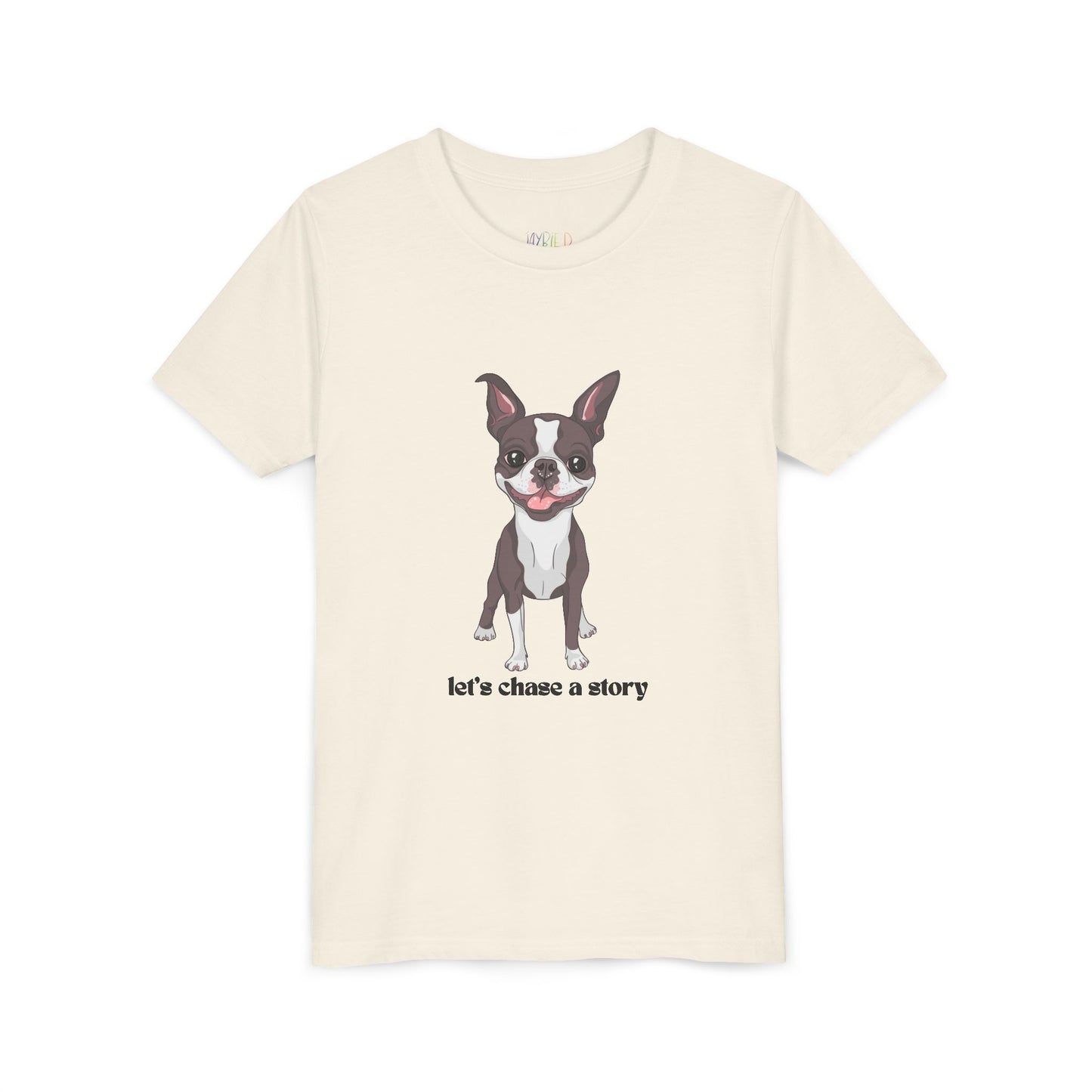 Youth Let’s Chase a Story T-Shirt – For Energetic Readers on the Go