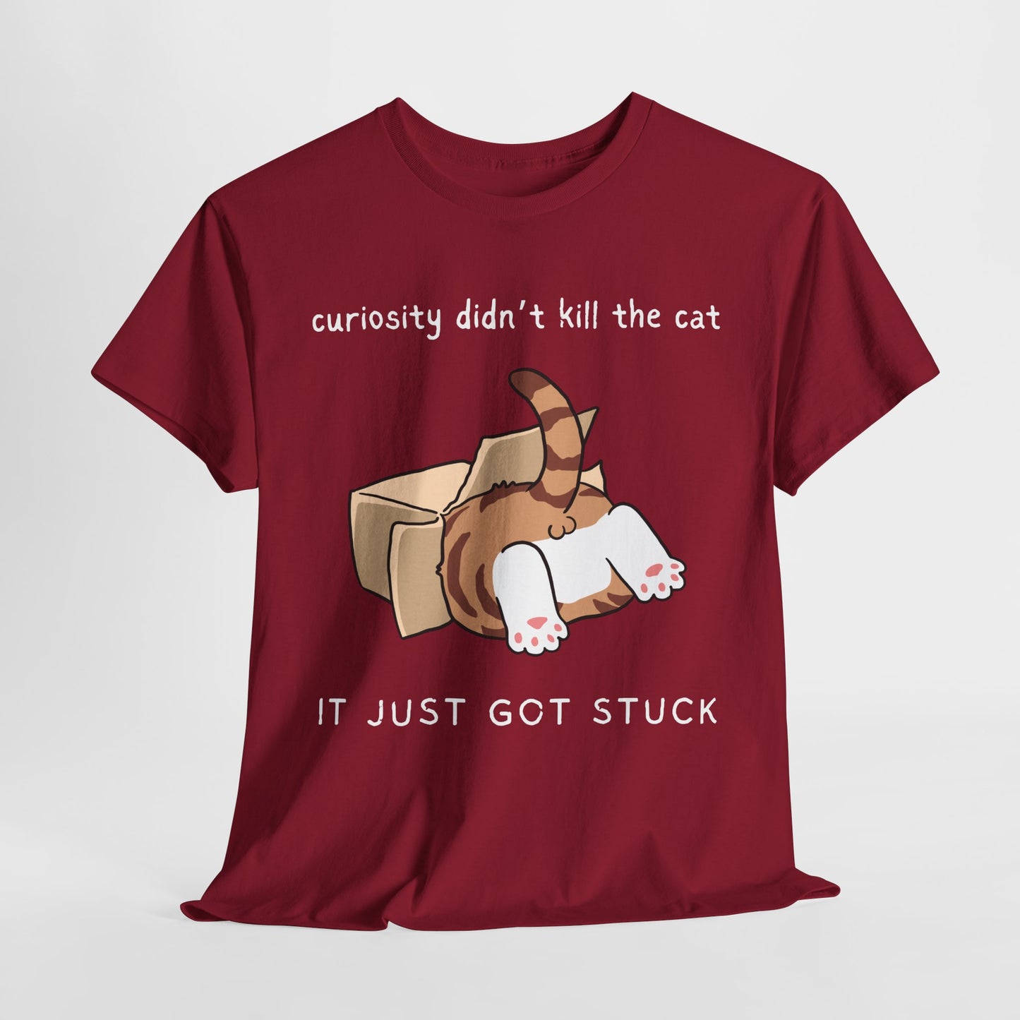 Teen/Adult Unisex Curious & Stuck Tee – Bold Moves, Box Problems