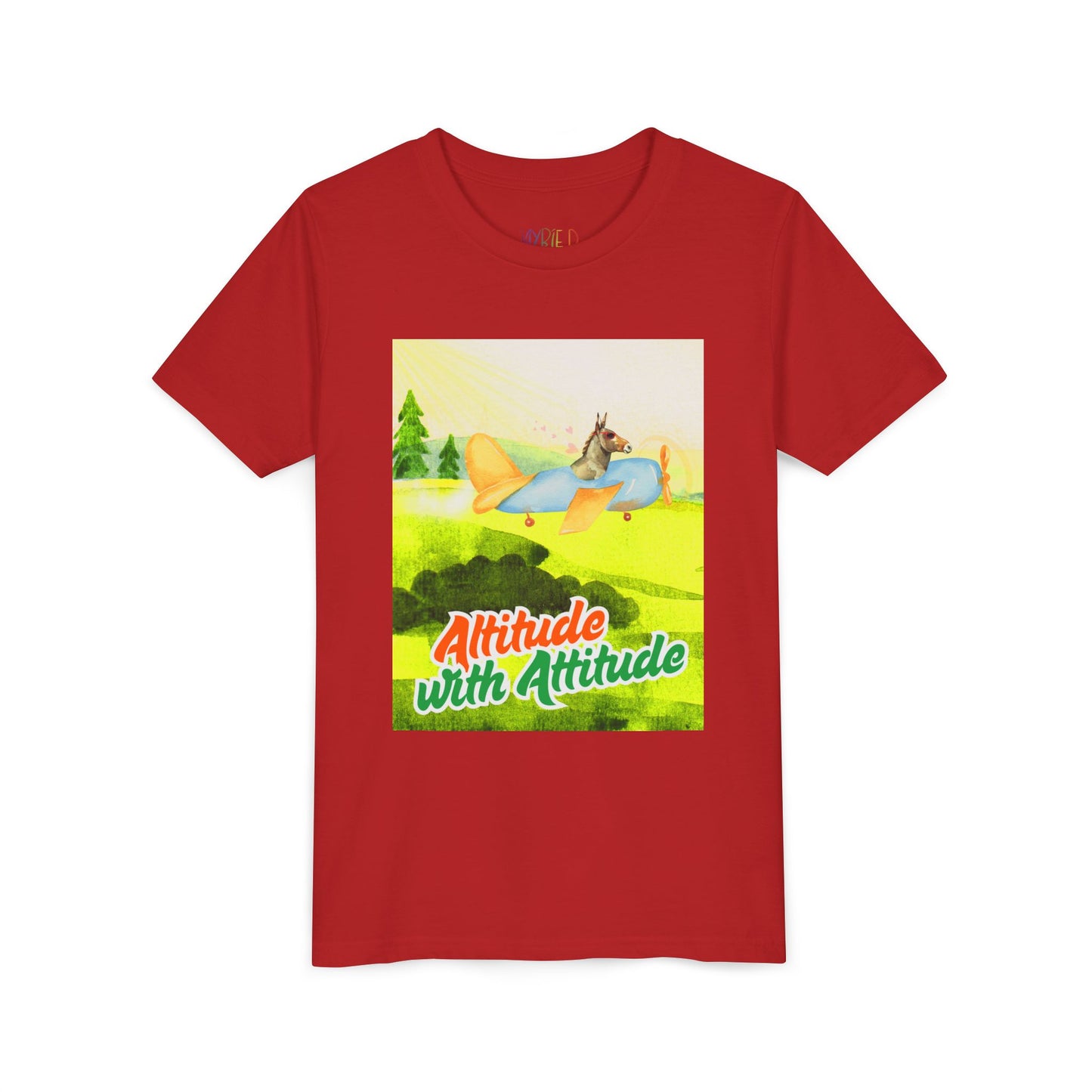 Youth Altitude with Attitude – Soaring Sass Tee