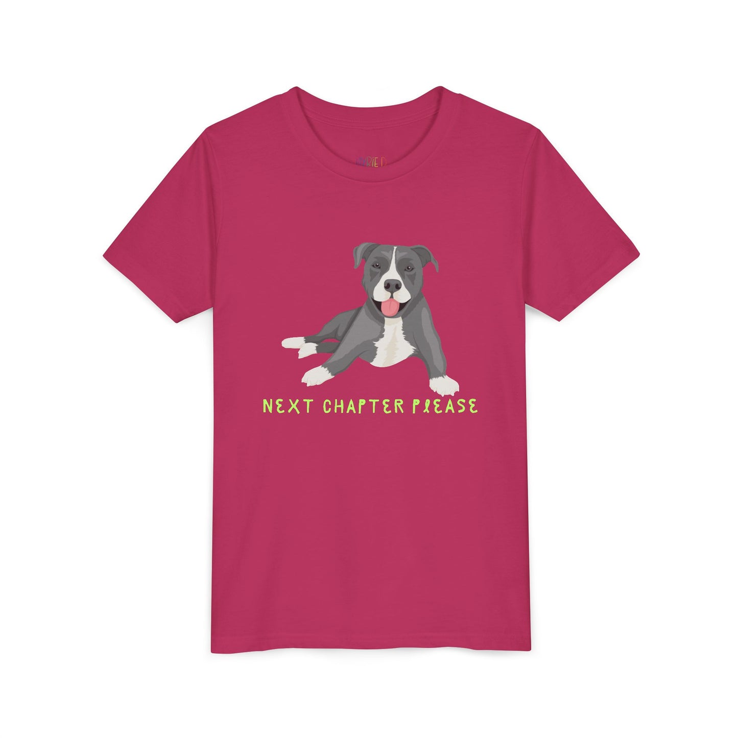 Youth Next Chapter Please T-Shirt – For Kids Who Just Can’t Stop Reading