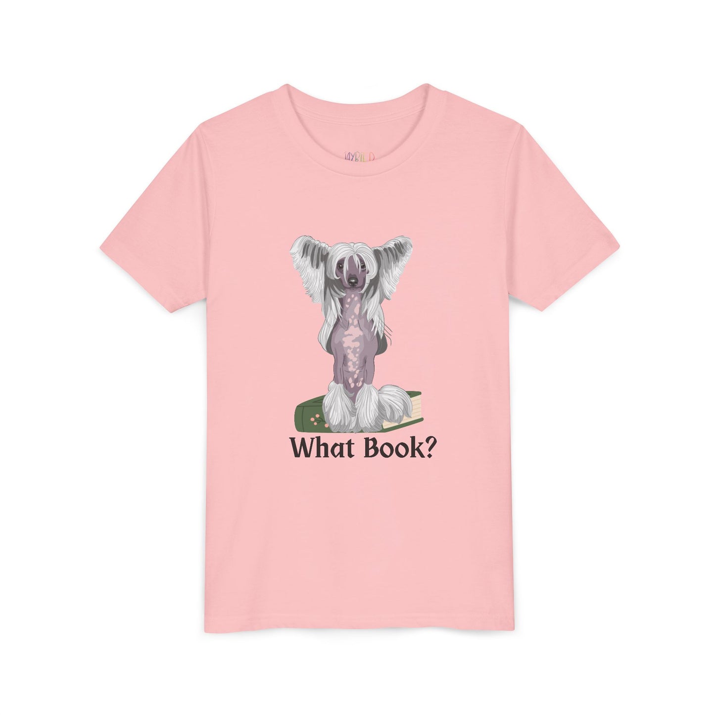 Youth What Book? T-Shirt – For the Sneaky Reader or Class Clown