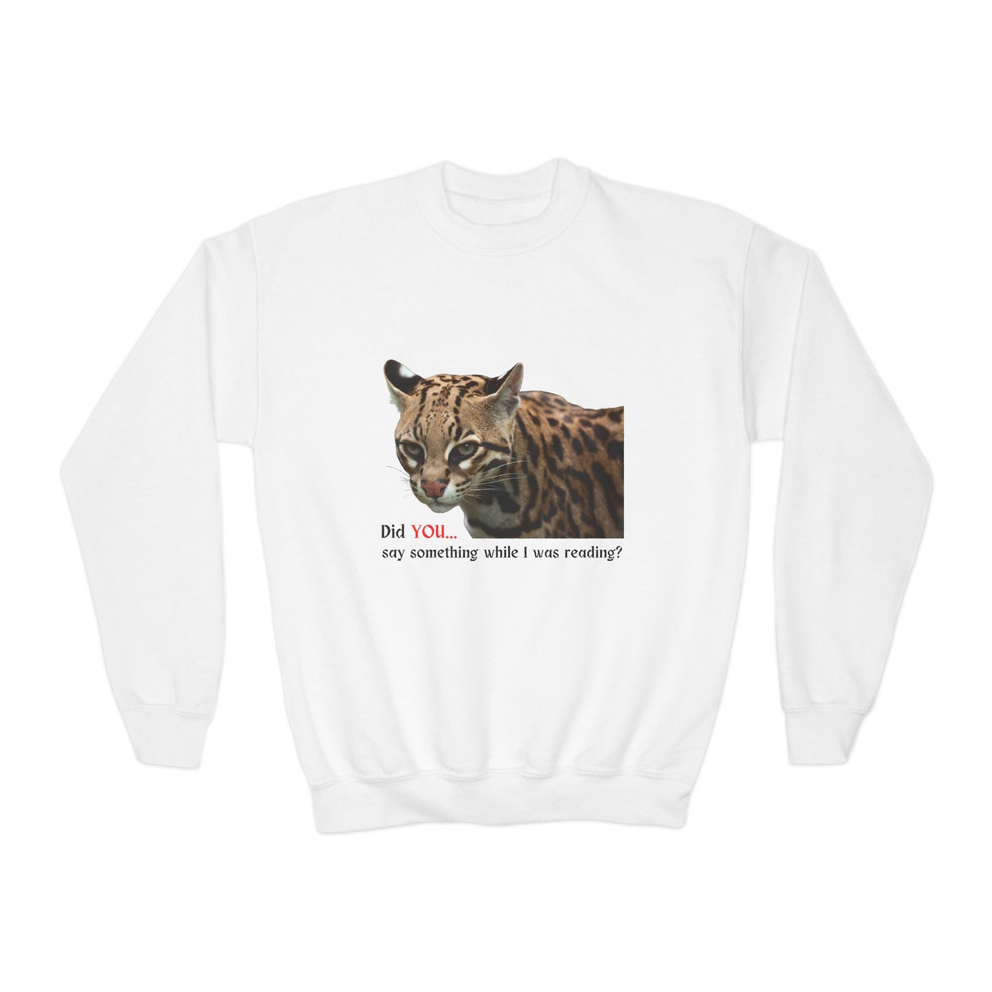 Youth Fierce Reader Sweatshirt – Did YOU Say Something While I Was Reading?