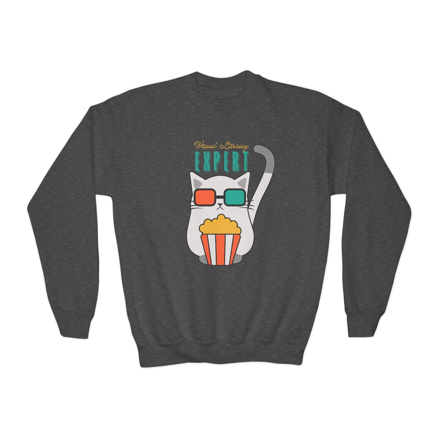 Youth Visual Literacy Expert Sweatshirt β Cool Cat for Clever Readers