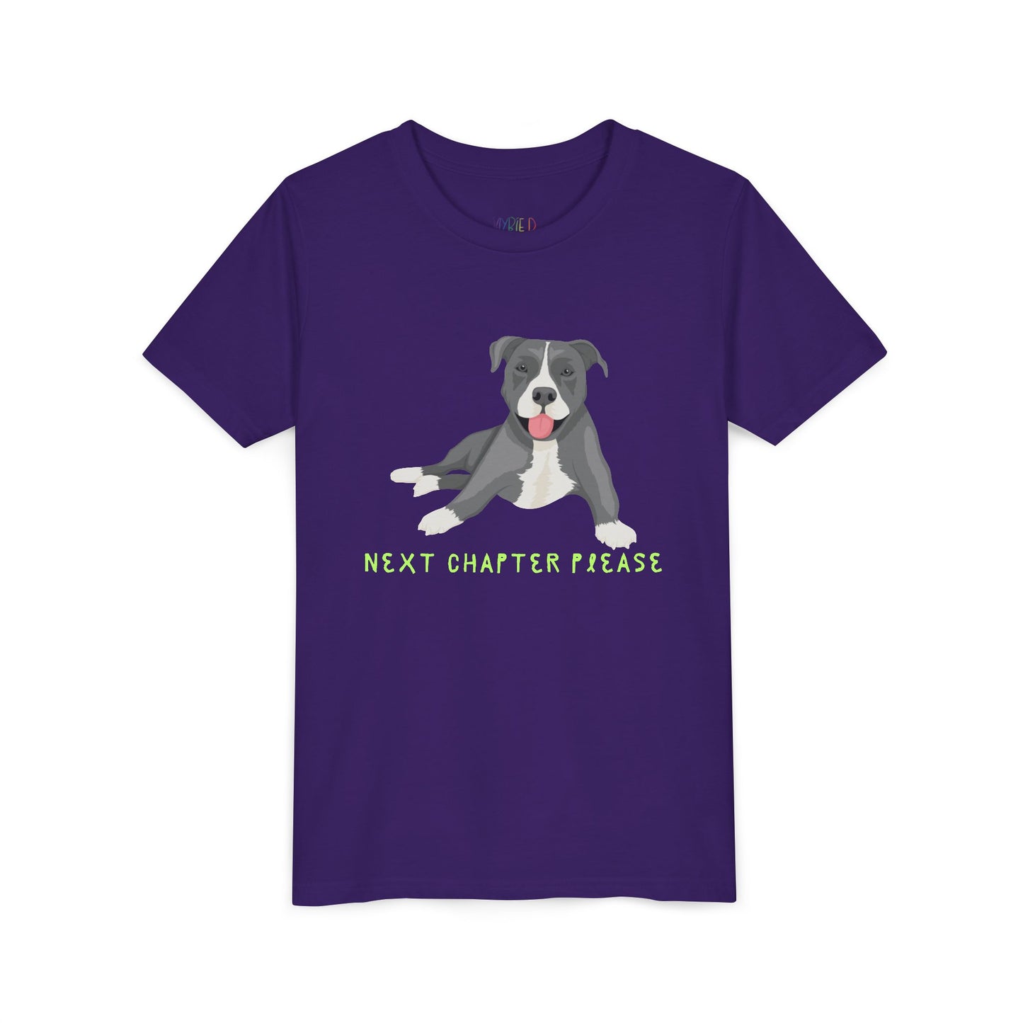 Youth Next Chapter Please T-Shirt – For Kids Who Just Can’t Stop Reading
