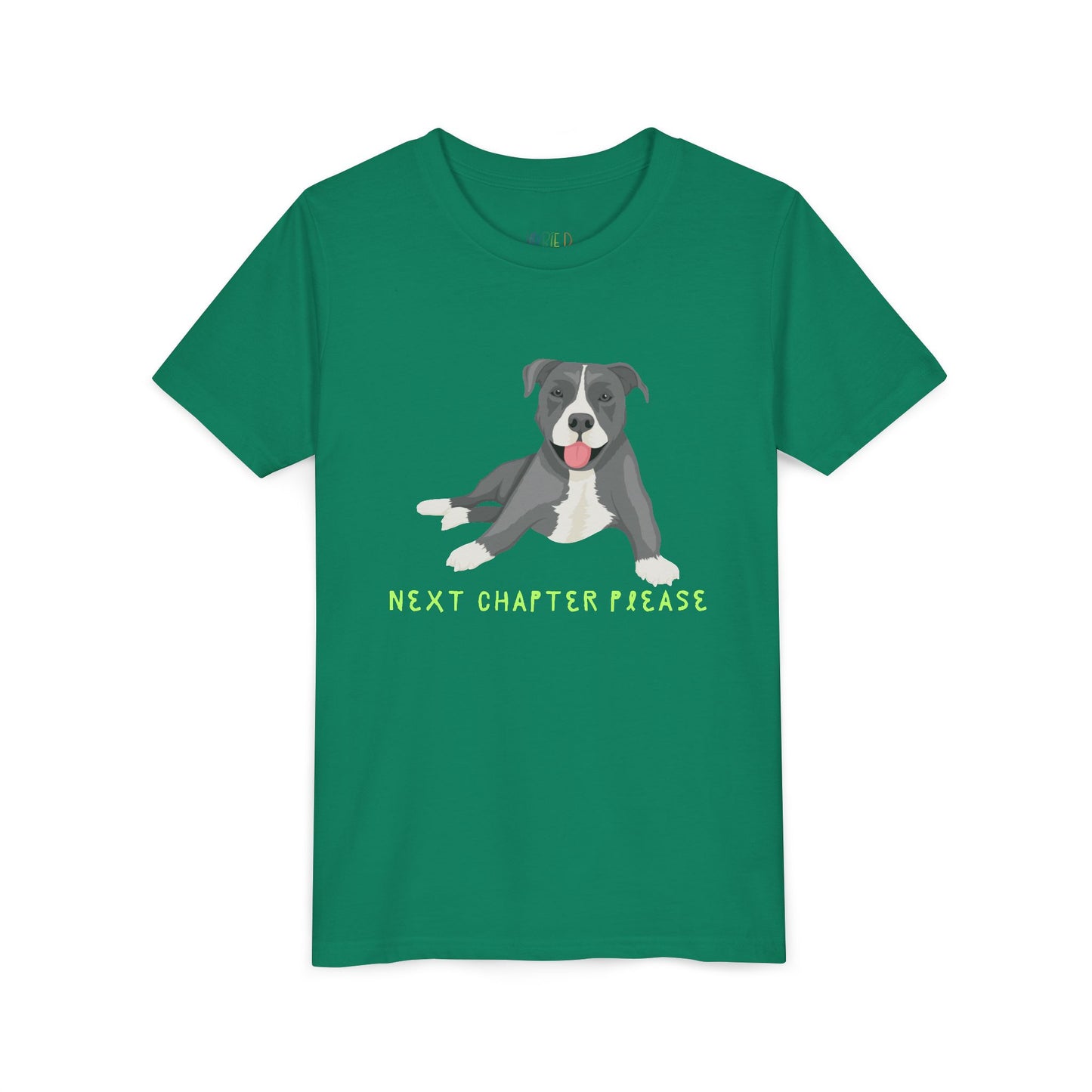 Youth Next Chapter Please T-Shirt – For Kids Who Just Can’t Stop Reading