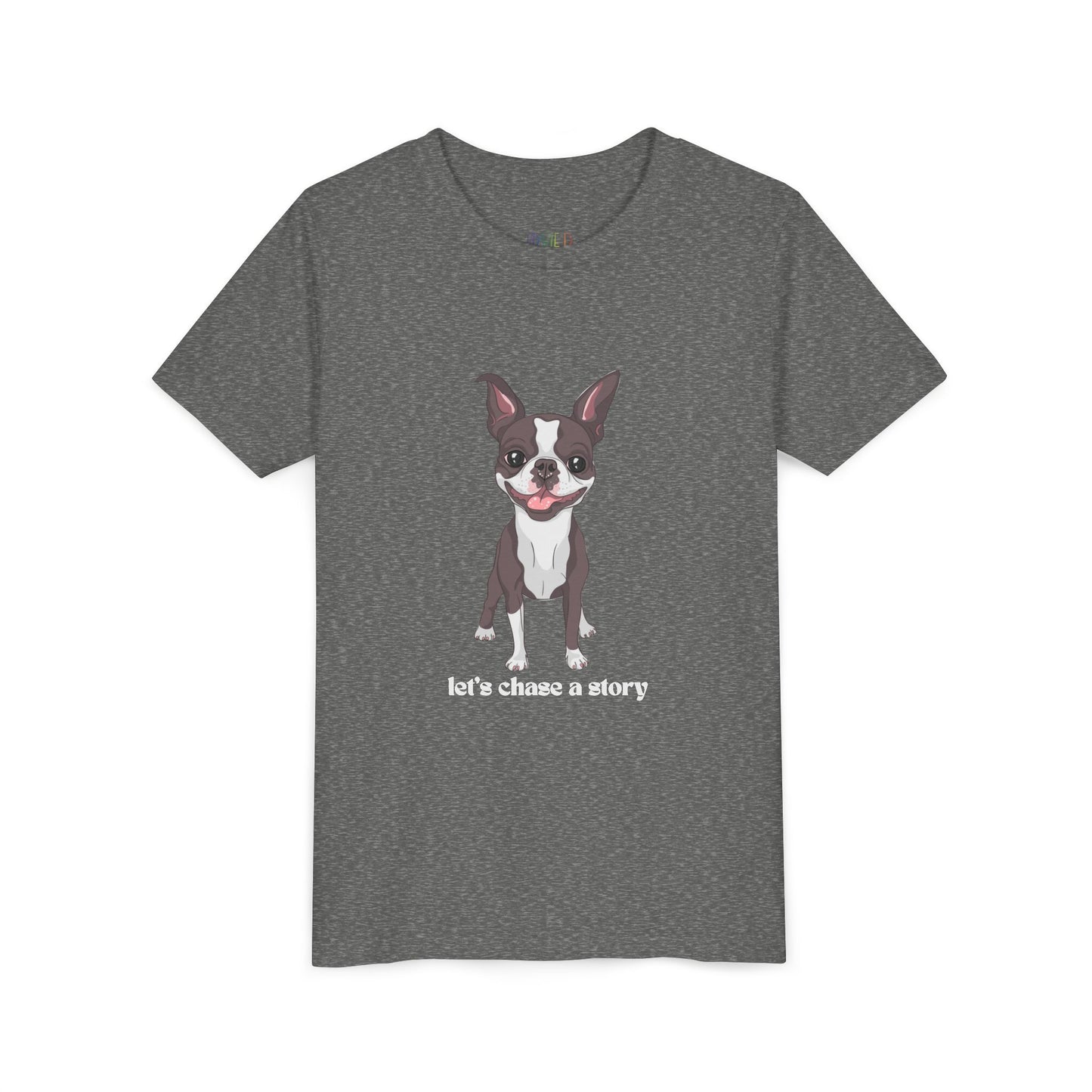 Youth Let’s Chase a Story T-Shirt – For Energetic Readers on the Go