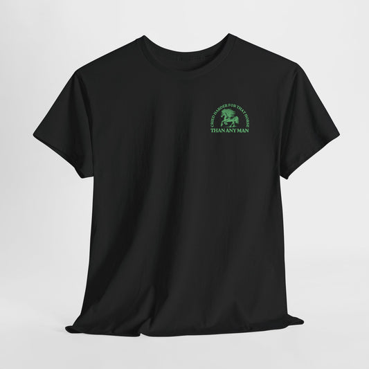 Teen/Adult Unisex Tee – Cried Harder for That Horse Than Any Man (Little Edition)