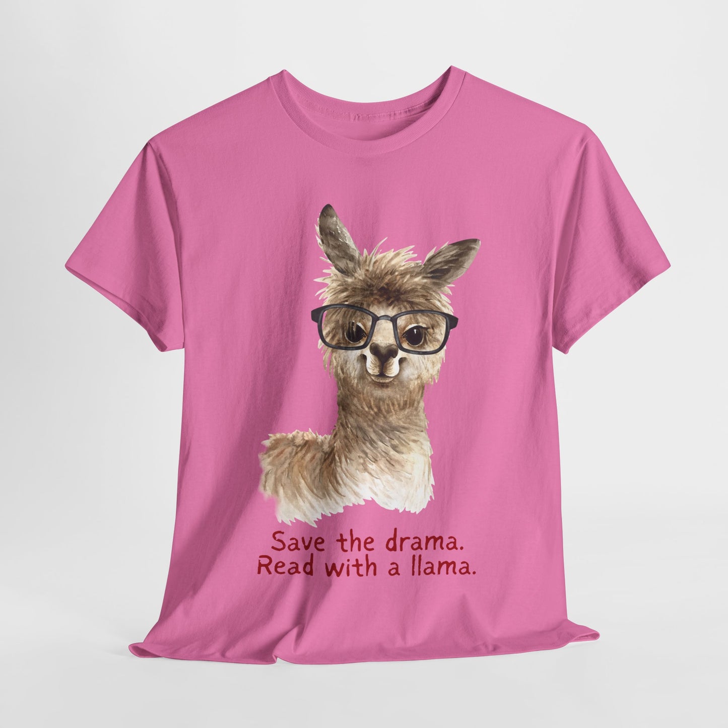 Teen/Adult Unisex Read with a Llama Tee – No Drama, Just Chapters