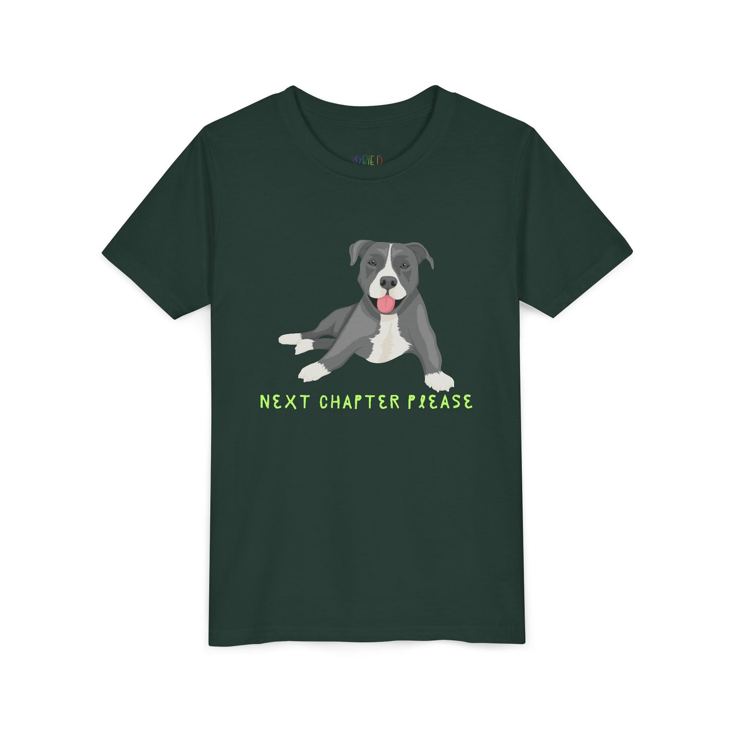 Youth Next Chapter Please T-Shirt – For Kids Who Just Can’t Stop Reading