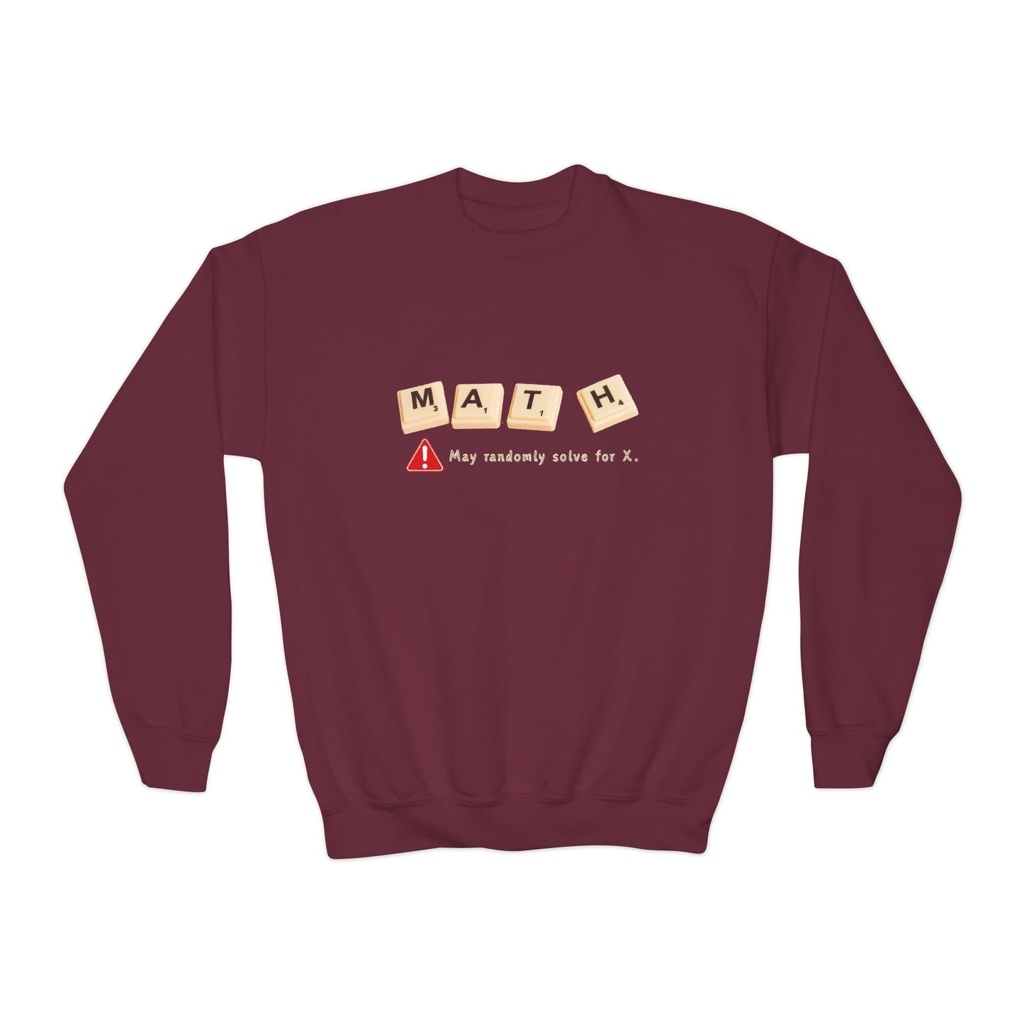 Youth Math Warning Sweatshirt – May Randomly Solve for X!