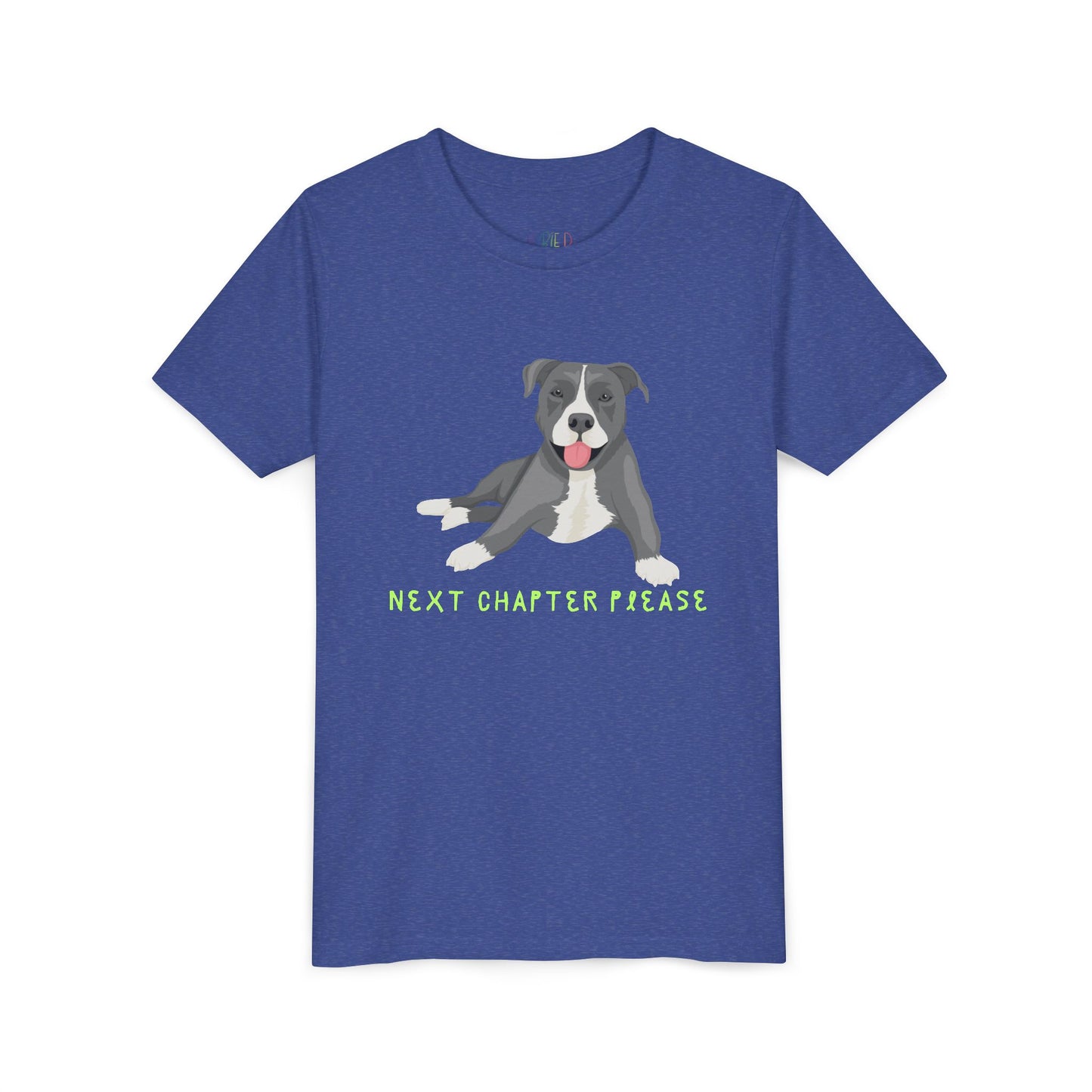 Youth Next Chapter Please T-Shirt – For Kids Who Just Can’t Stop Reading