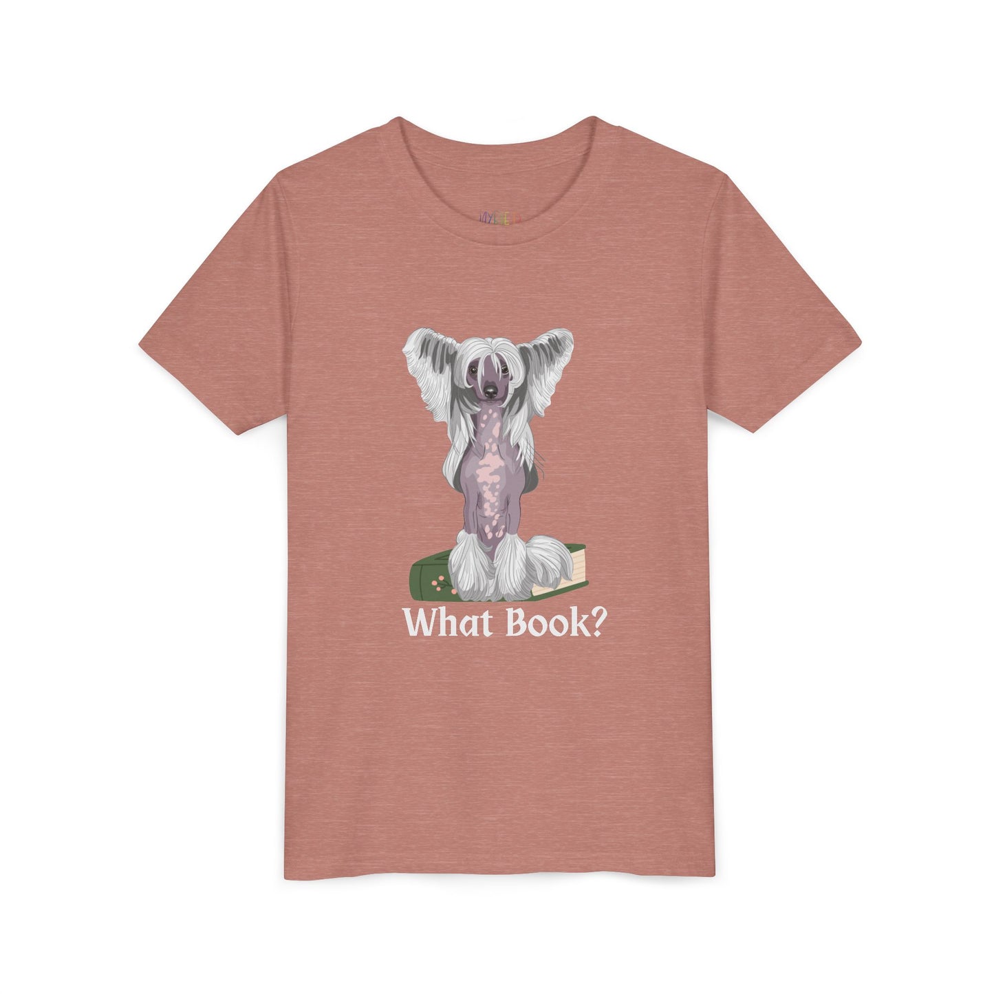 Youth What Book? T-Shirt – For the Sneaky Reader or Class Clown