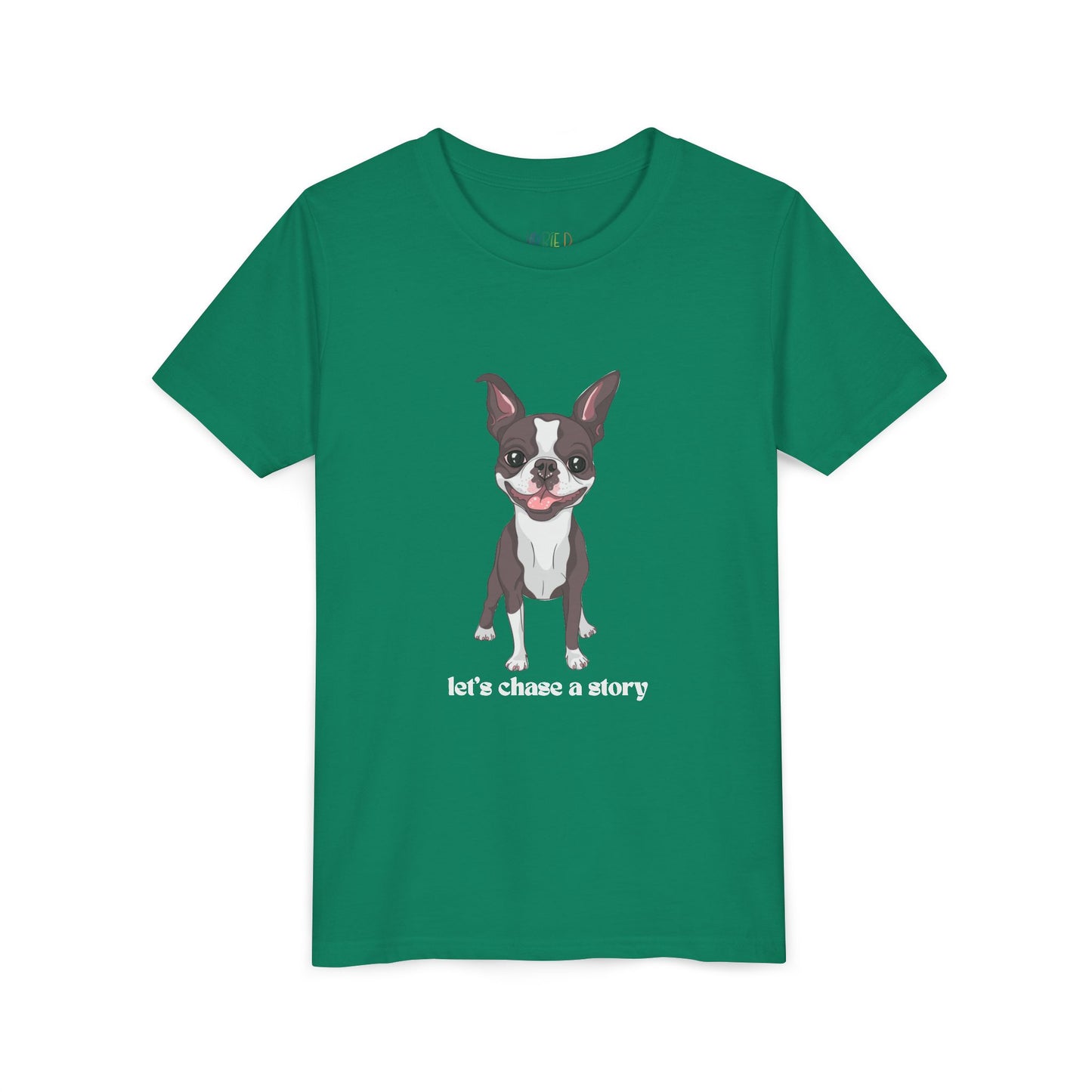 Youth Let’s Chase a Story T-Shirt – For Energetic Readers on the Go