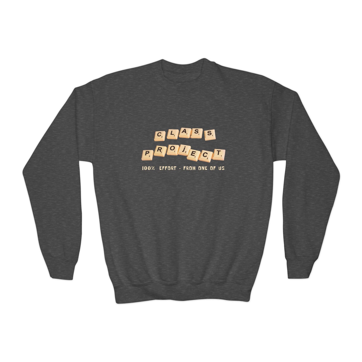 Youth Class Project Sweatshirt – 100% Effort (from One of Us!)
