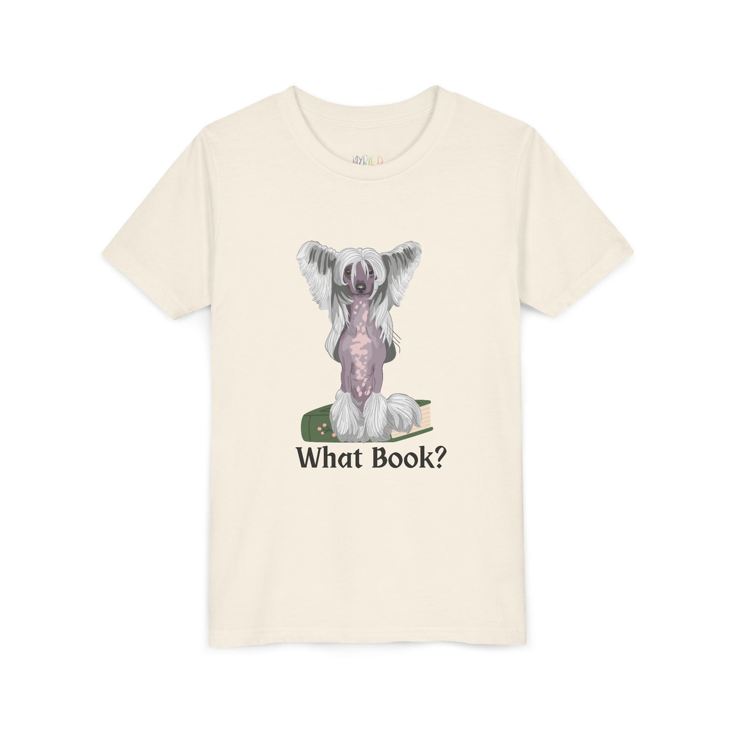 Youth What Book? T-Shirt – For the Sneaky Reader or Class Clown