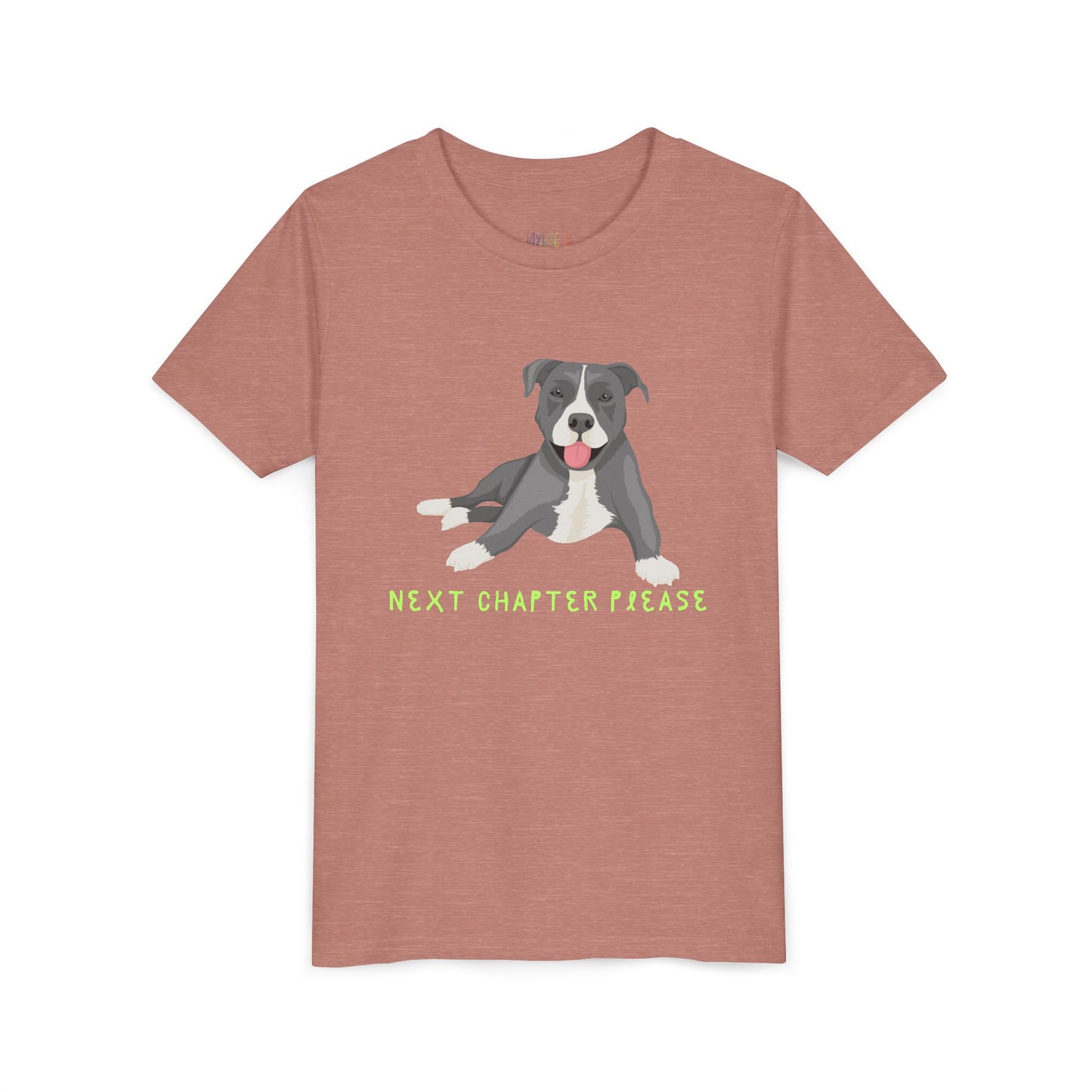Youth Next Chapter Please T-Shirt – For Kids Who Just Can’t Stop Reading