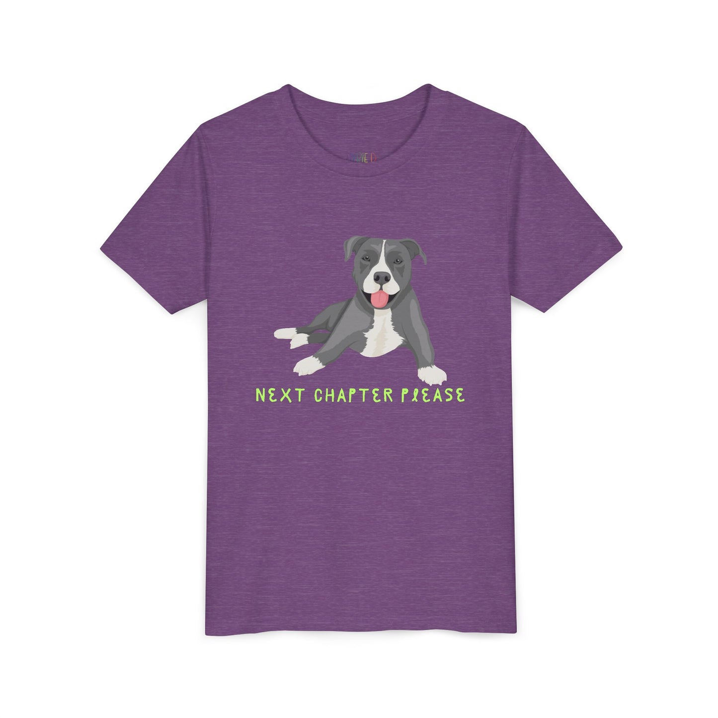 Youth Next Chapter Please T-Shirt – For Kids Who Just Can’t Stop Reading