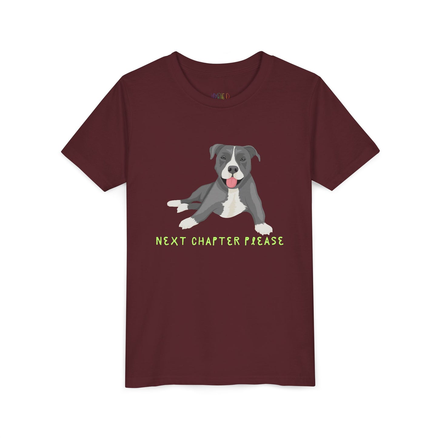Youth Next Chapter Please T-Shirt – For Kids Who Just Can’t Stop Reading