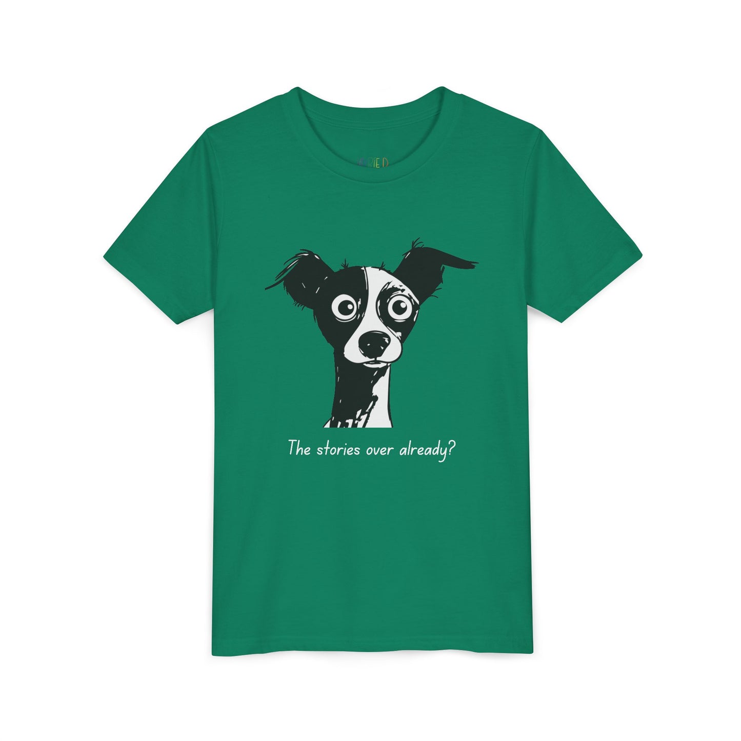 Youth Story’s Over Shock T-Shirt – For Readers Who Weren’t Ready