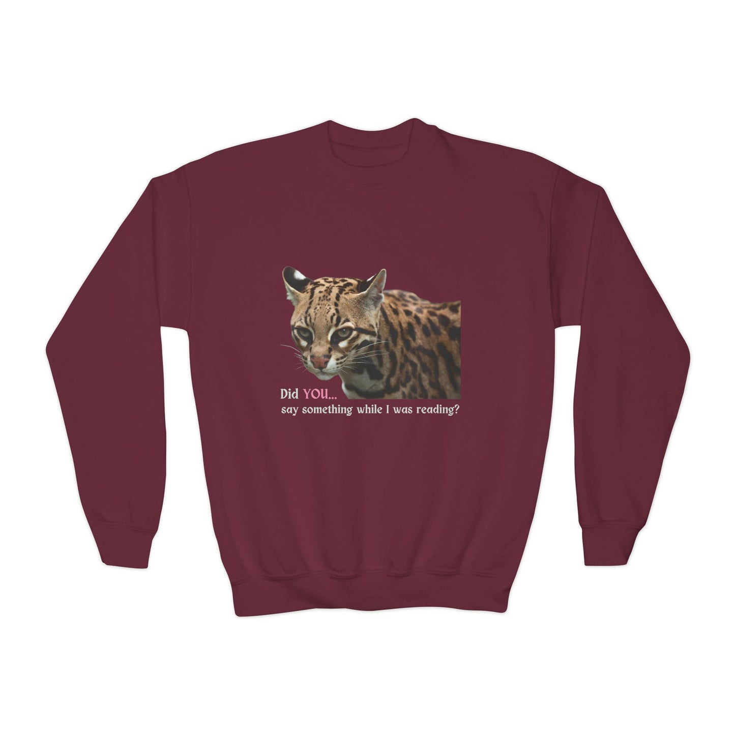 Youth Fierce Reader Sweatshirt – Did YOU Say Something While I Was Reading?