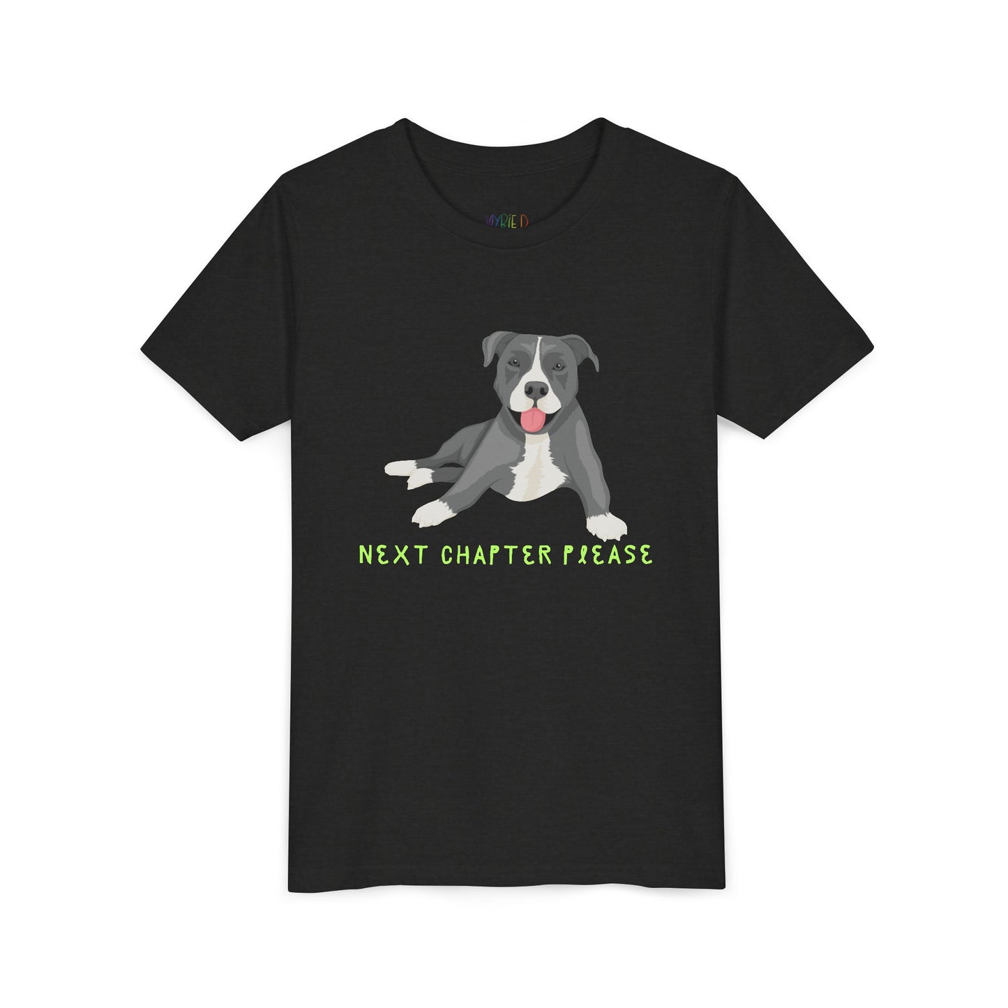 Youth Next Chapter Please T-Shirt – For Kids Who Just Can’t Stop Reading