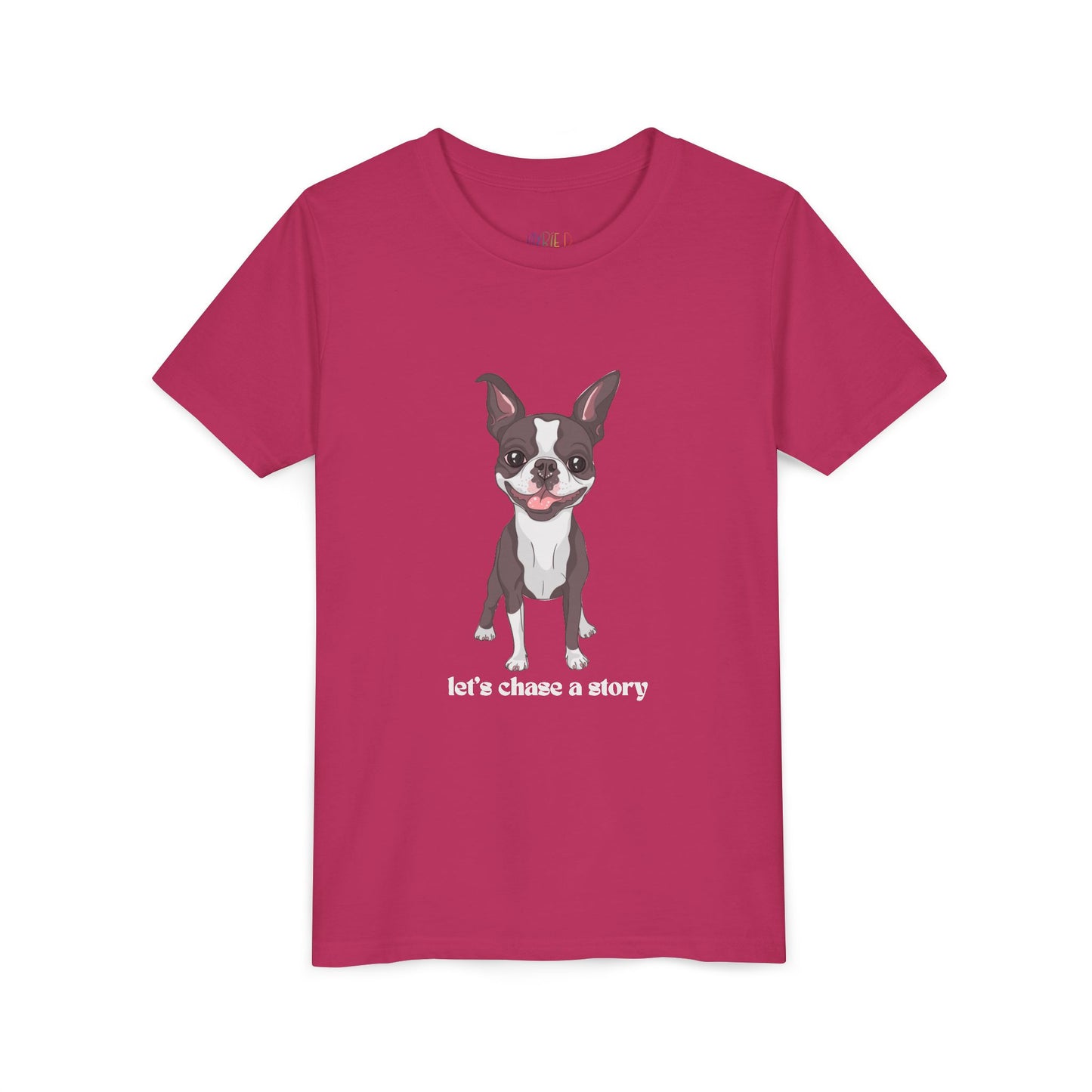 Youth Let’s Chase a Story T-Shirt – For Energetic Readers on the Go