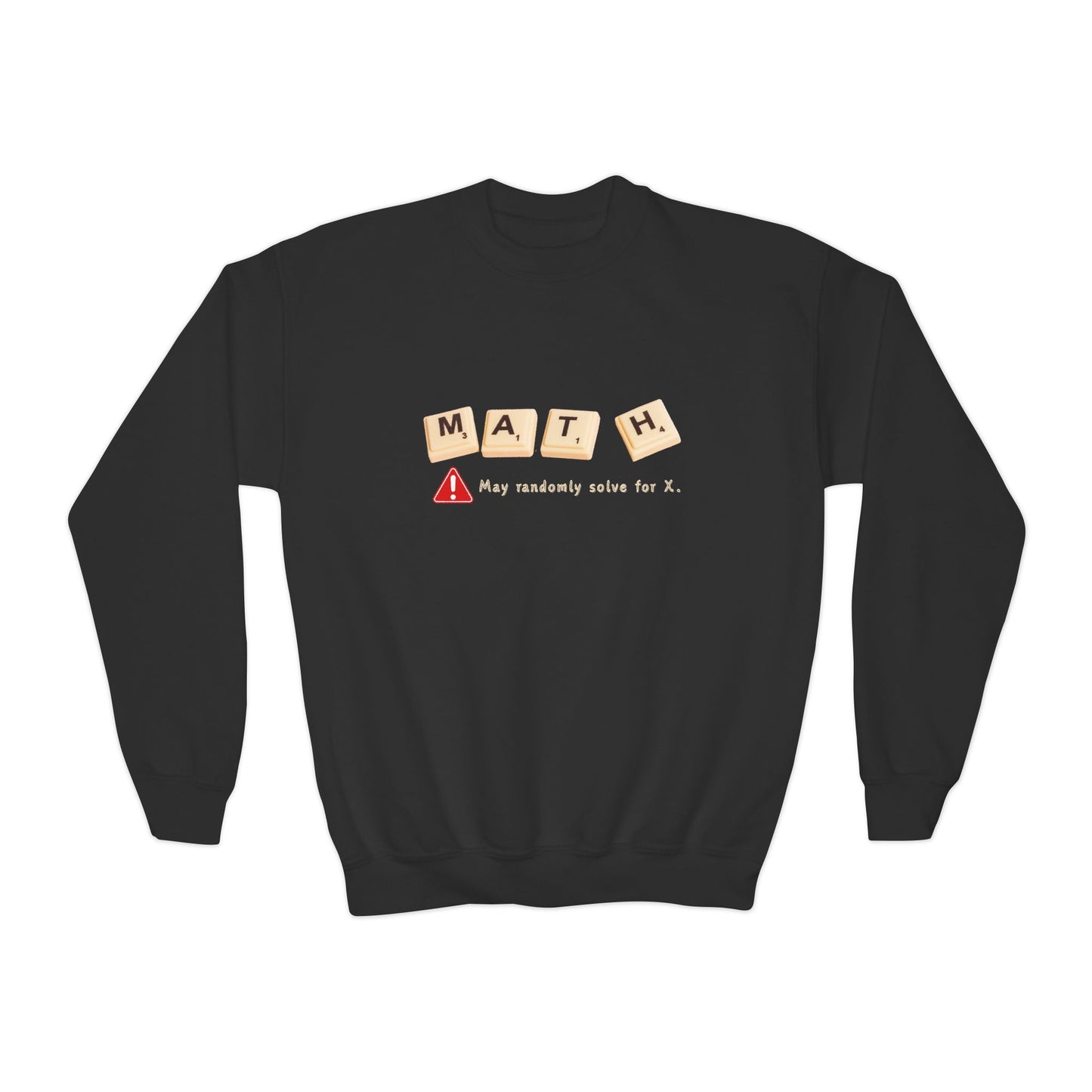 Youth Math Warning Sweatshirt – May Randomly Solve for X!
