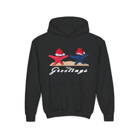 Black hoodie with Christmas-themed design of starfish wearing Santa hats and 'Bear Greetings' text on a white background.