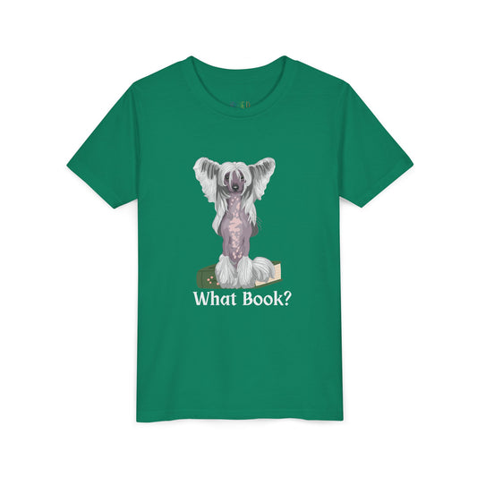 Youth What Book? T-Shirt – For the Sneaky Reader or Class Clown