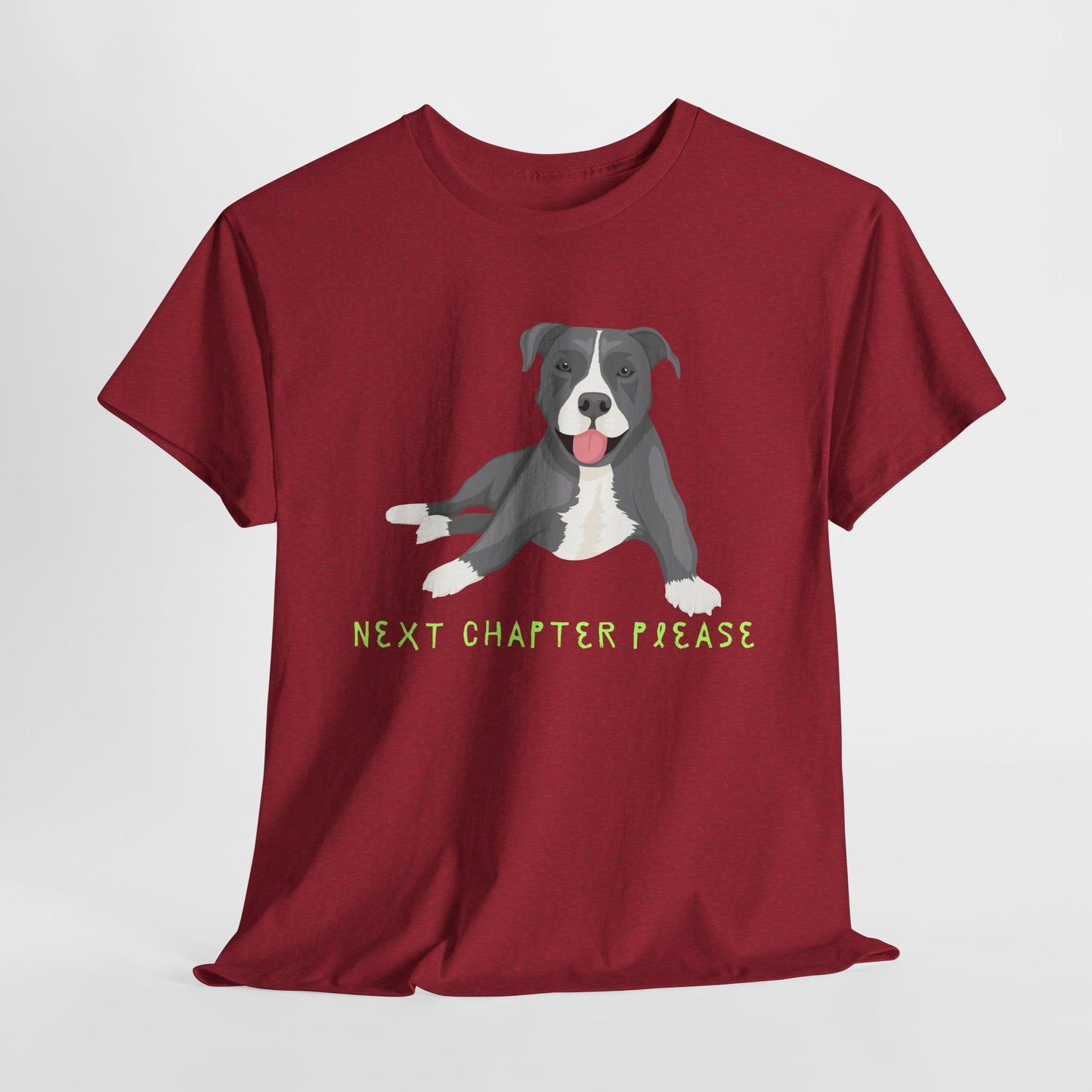 Teen/Adult Unisex Next Chapter Please Tee – Calm Pup, Curious Heart