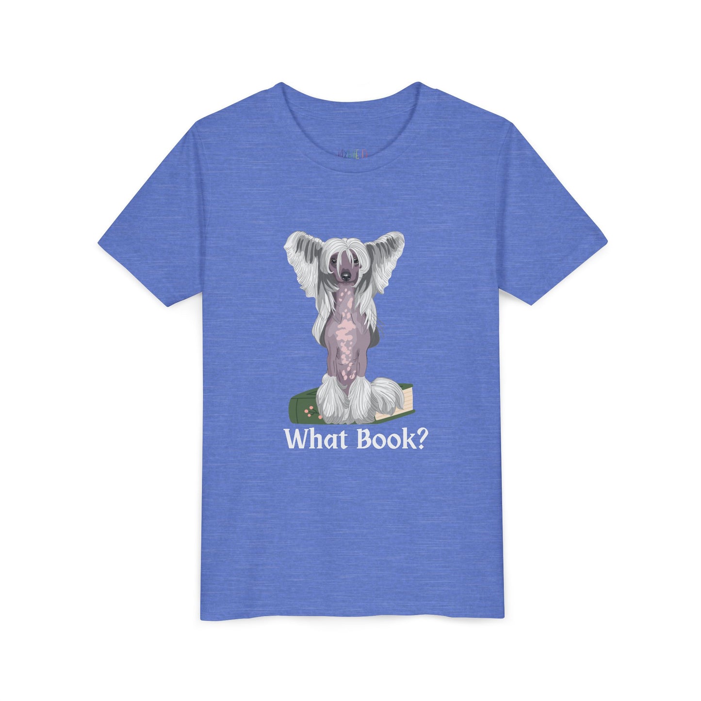 Youth What Book? T-Shirt – For the Sneaky Reader or Class Clown