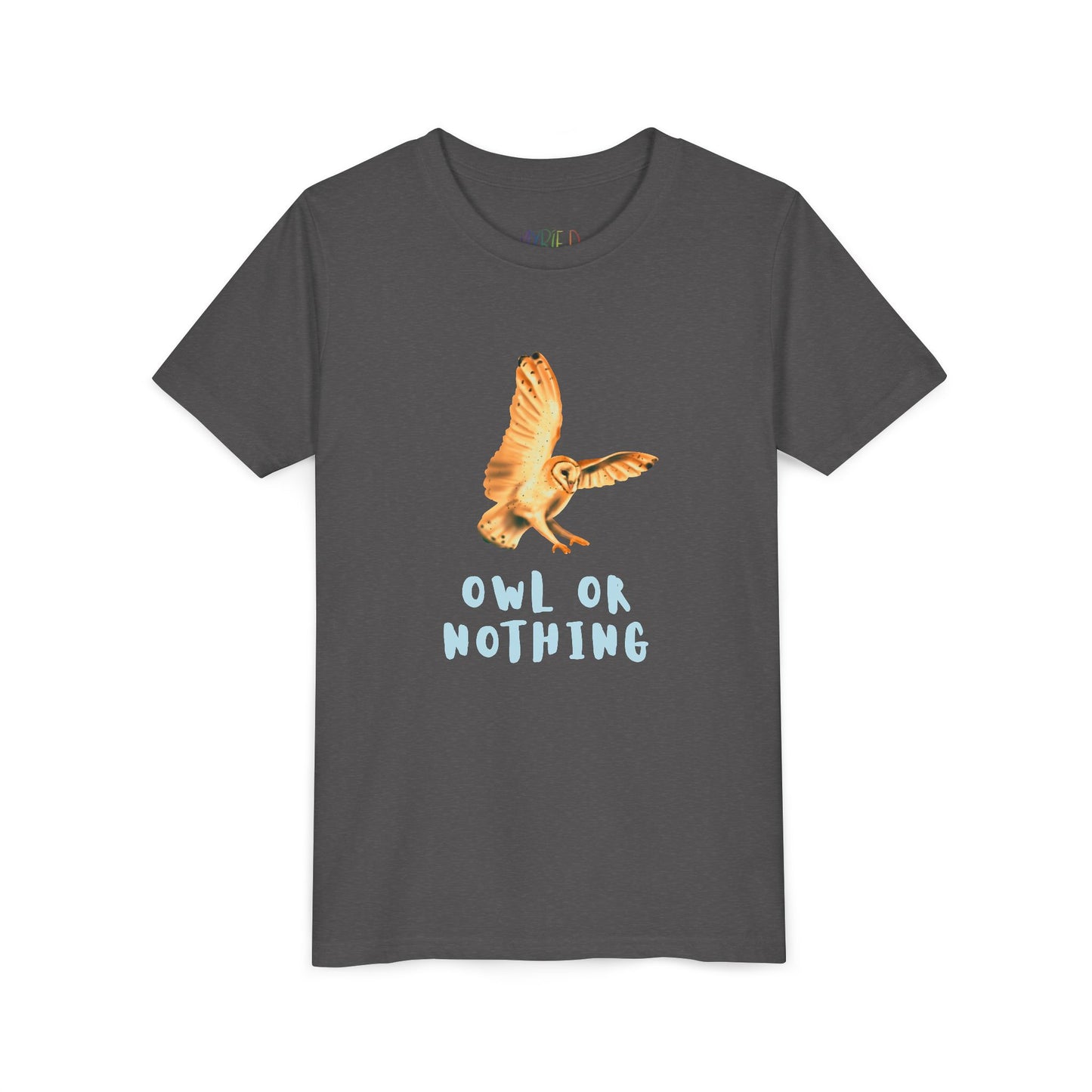 Youth Owl or Nothing T-Shirt – Playful Animal Pun Tee for Kids Who Give It Their All