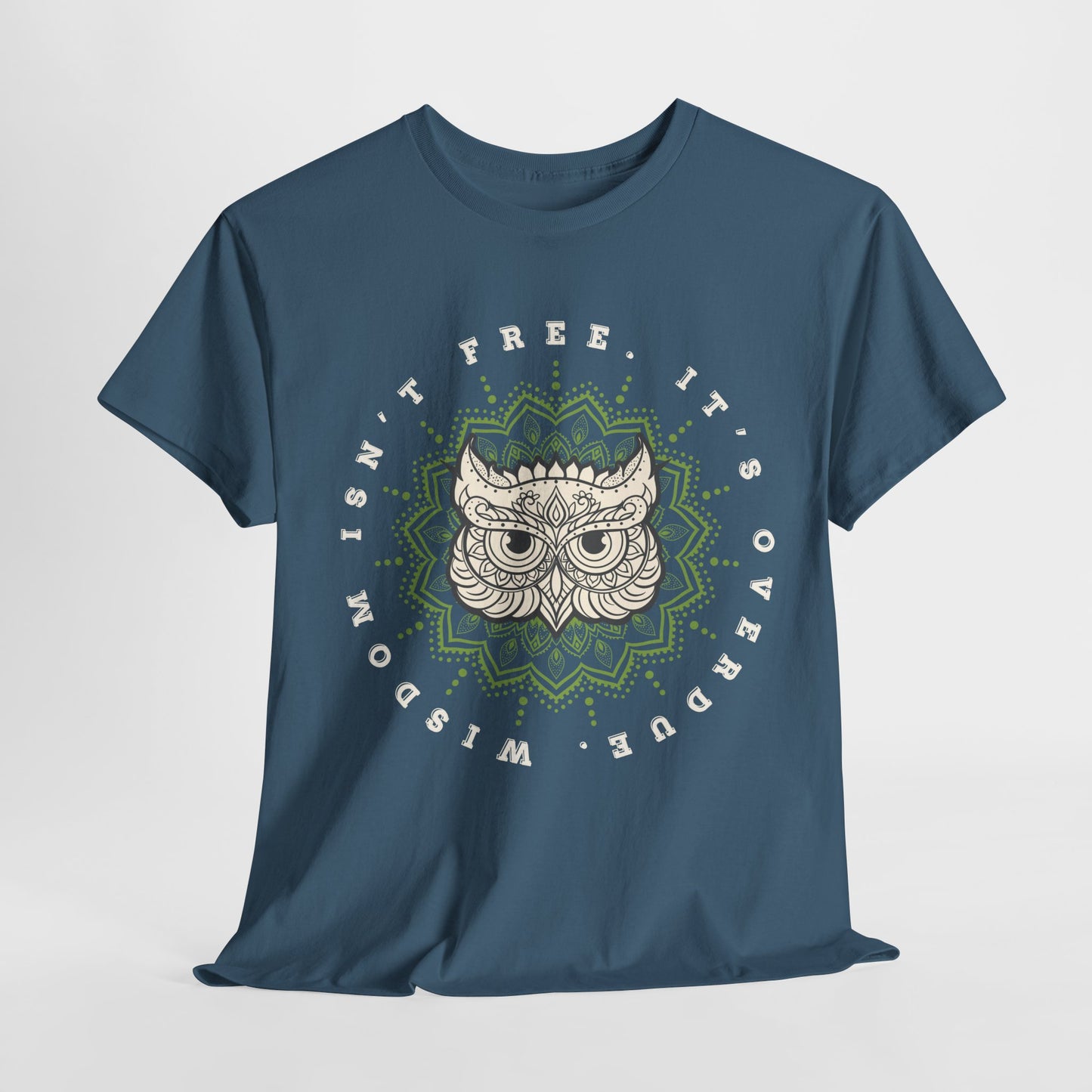 Teen/Adult Unisex – Wisdom Isn’t Free Tee – Overdue Owl Library Shirt
