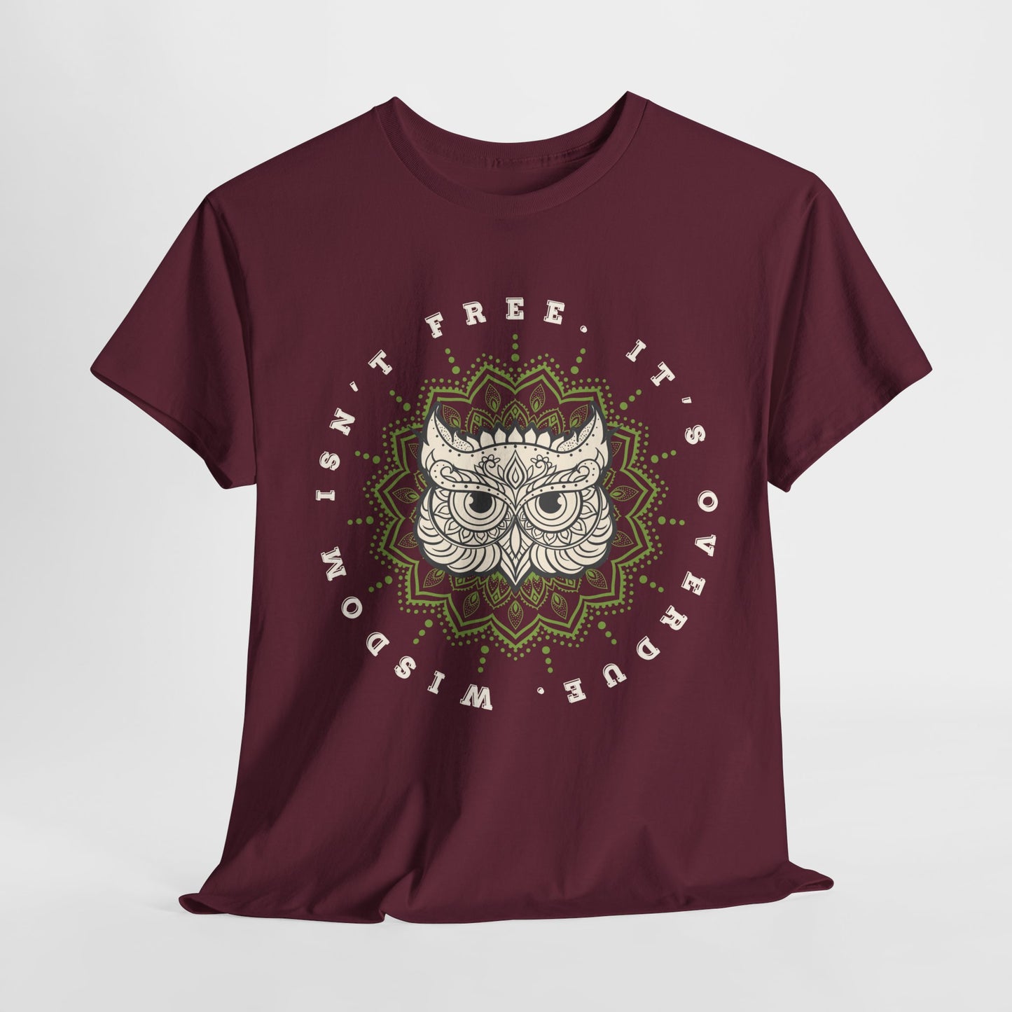 Teen/Adult Unisex – Wisdom Isn’t Free Tee – Overdue Owl Library Shirt
