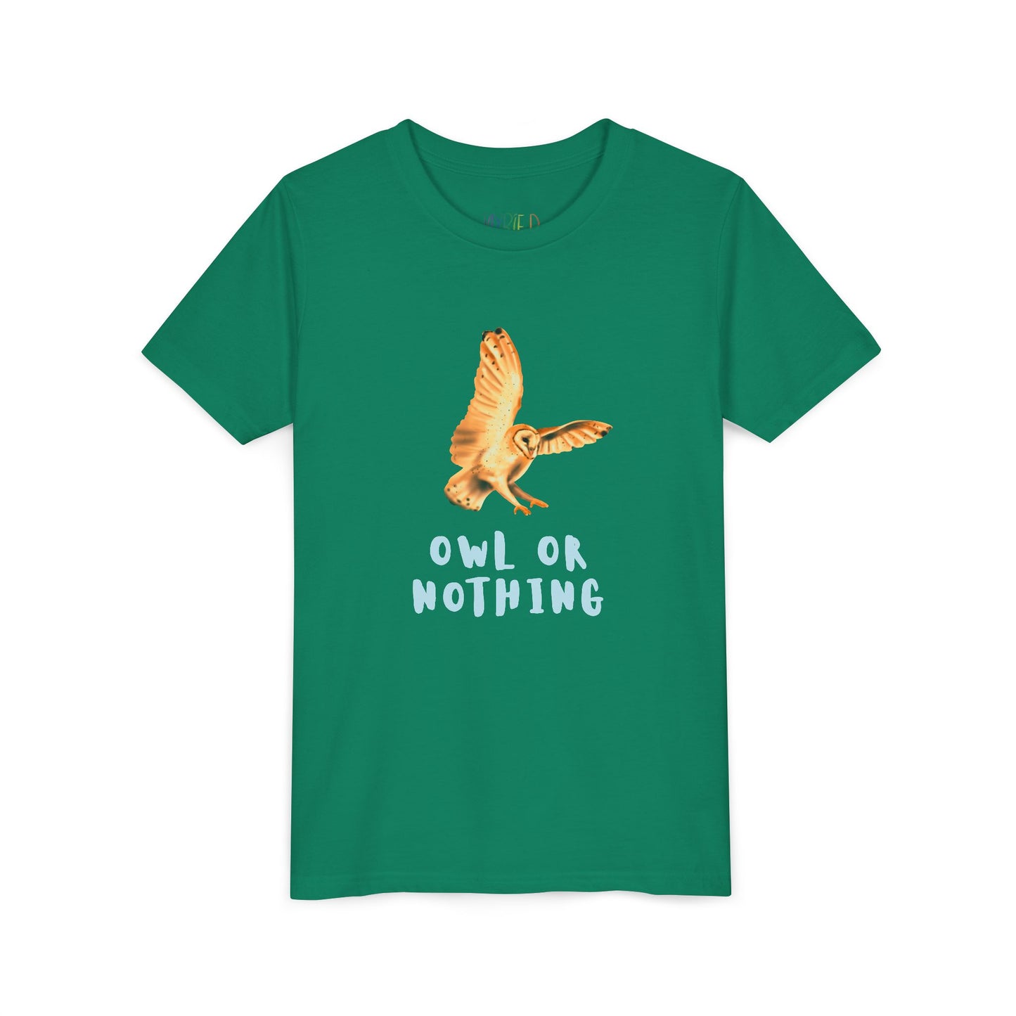 Youth Owl or Nothing T-Shirt – Playful Animal Pun Tee for Kids Who Give It Their All