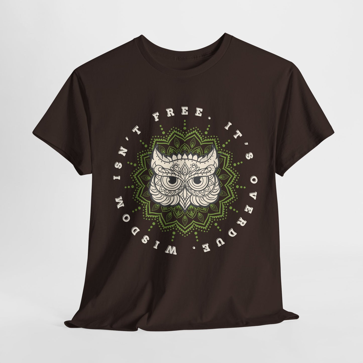 Teen/Adult Unisex – Wisdom Isn’t Free Tee – Overdue Owl Library Shirt