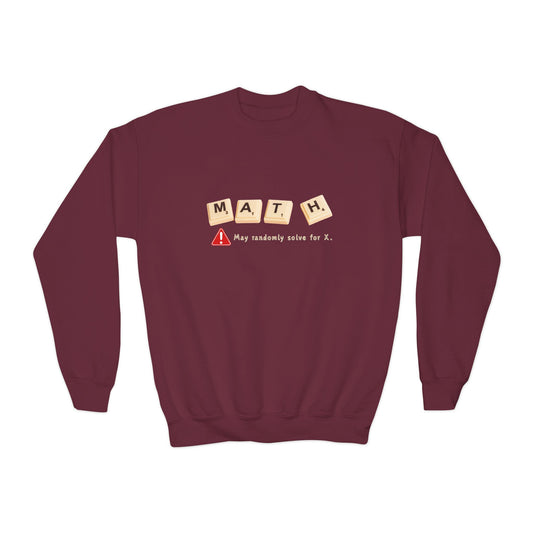 Youth Math Warning Sweatshirt – May Randomly Solve for X!