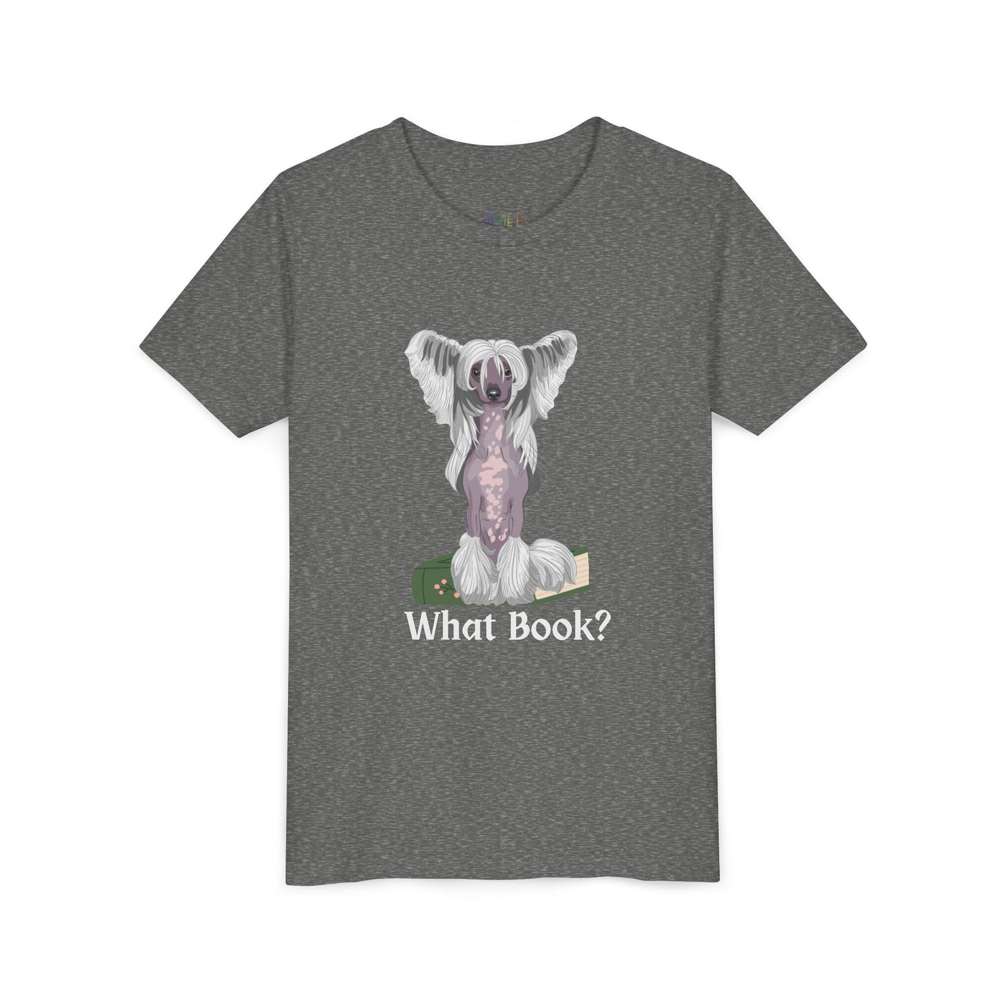 Gray t-shirt with a graphic of a dog sitting on a book and text 'What Book?' 