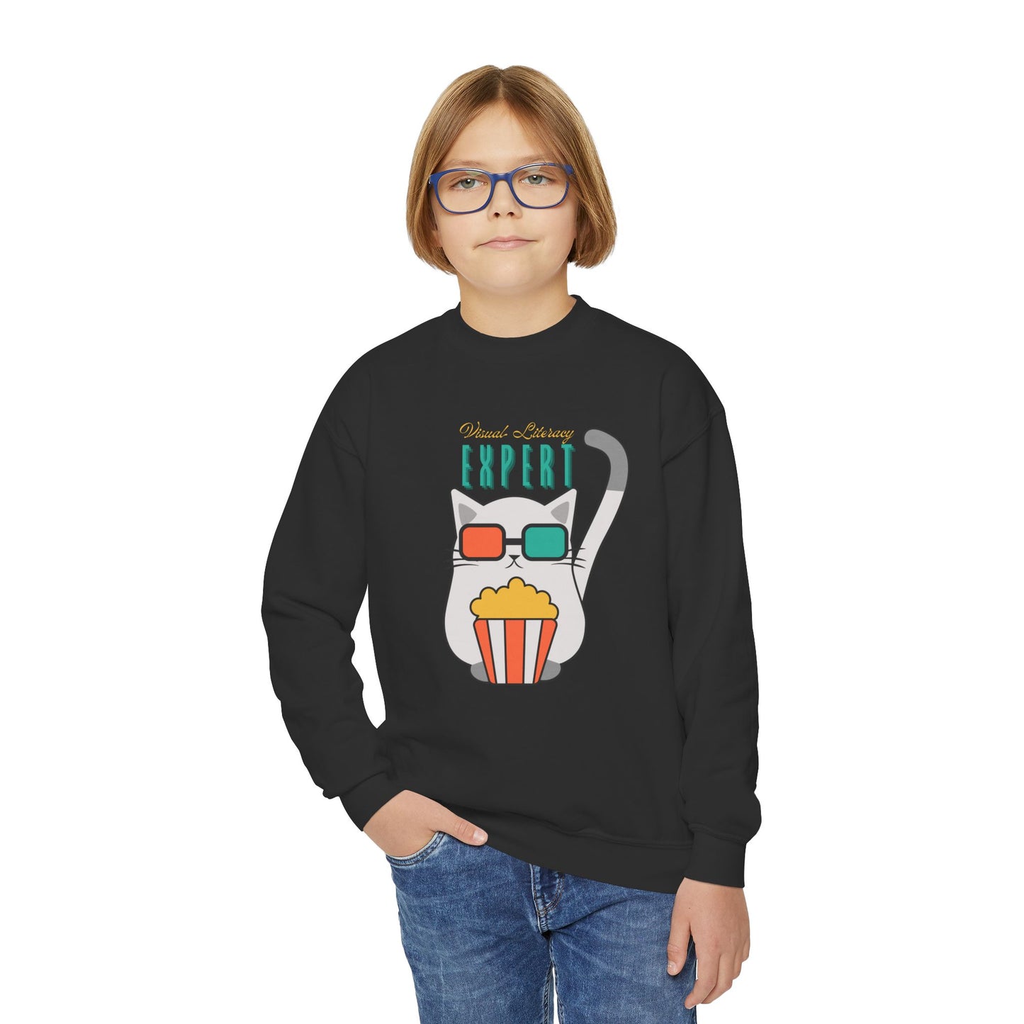 Boy wearing a black sweatshirt with a cat wearing 3D glasses, a bucket of popcorn and text 'Visual Literacy Expert' 